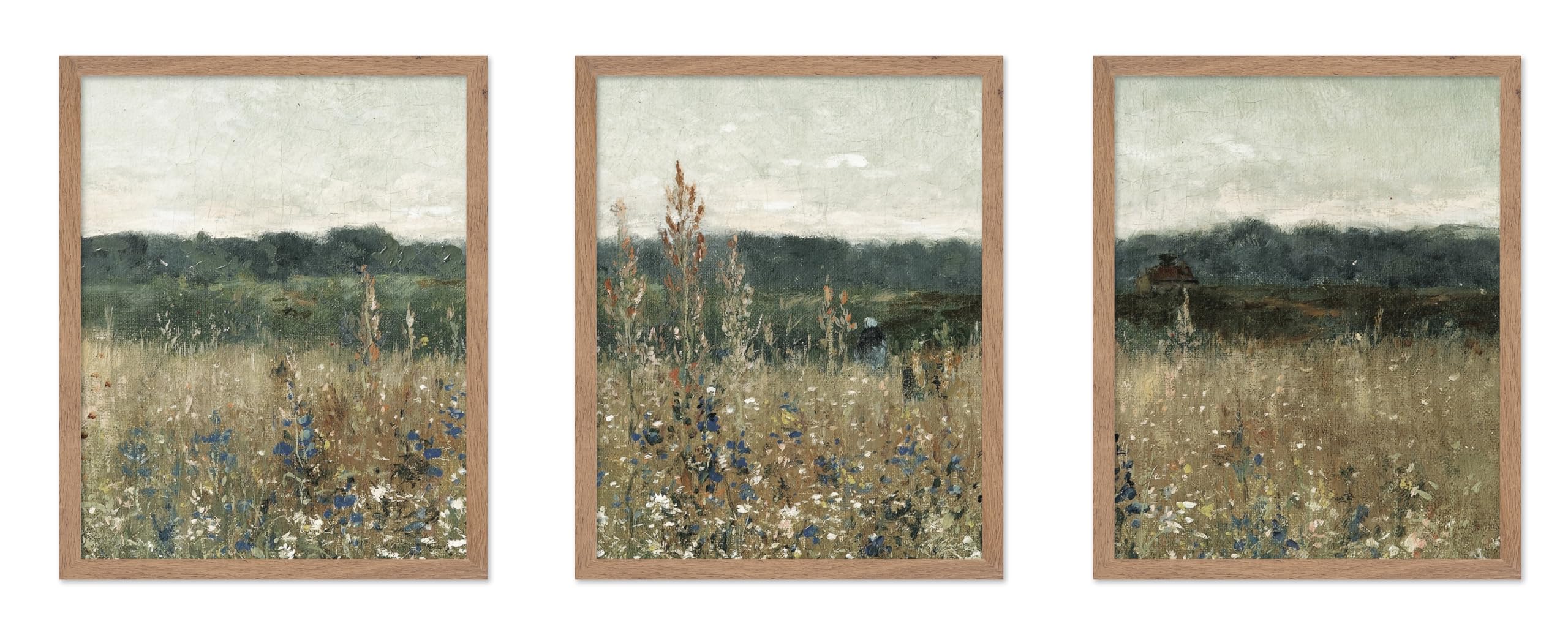 Poster Master 3-Piece Vintage Illustration Poster - Retro Botanical Print - Gift for Artist, Friend - Wildflower Field Landscape