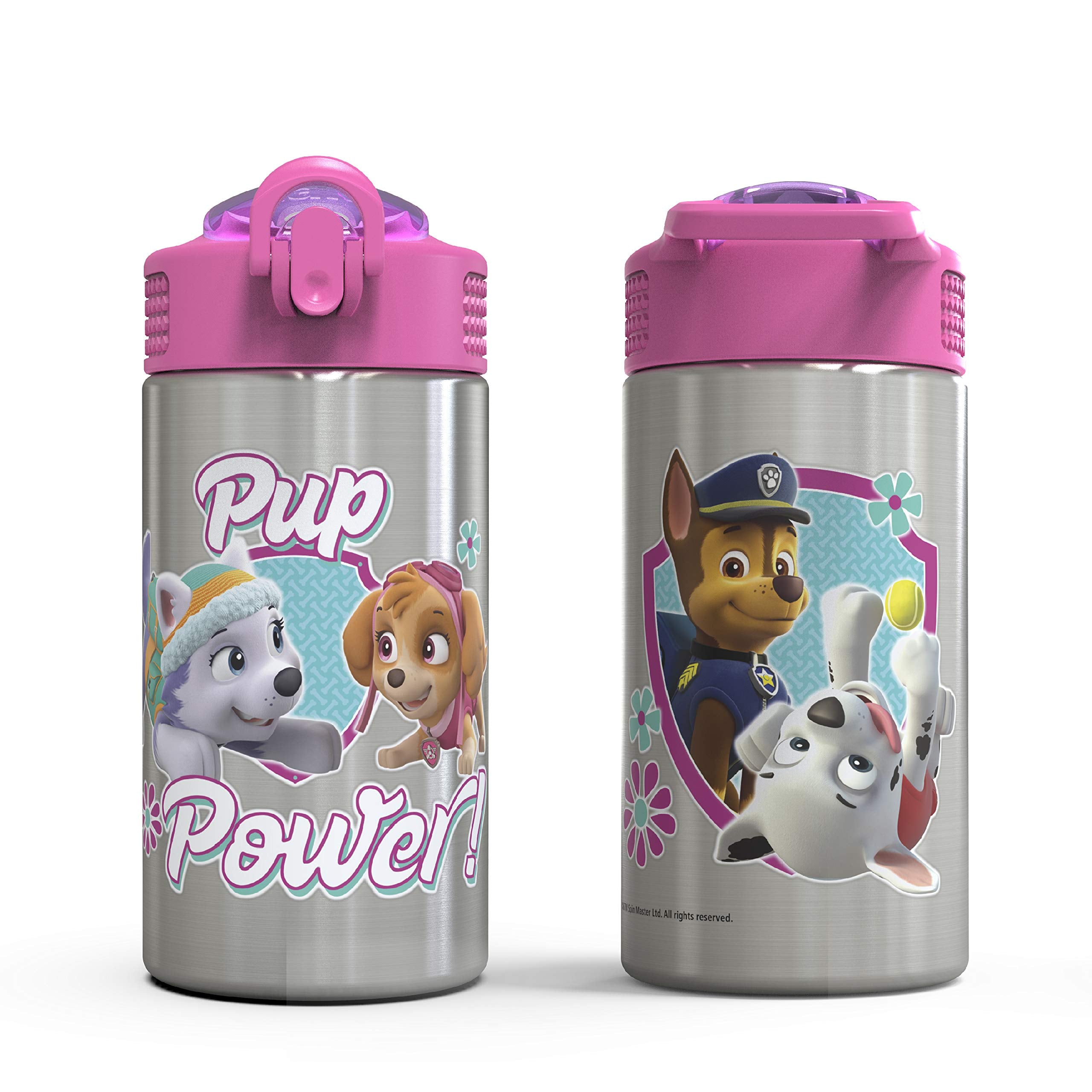 Zak Designs Paw Patrol Skye - Stainless Steel Water Bottle with One Hand Operation Action Lid and Built-in Carrying Loop, Straw