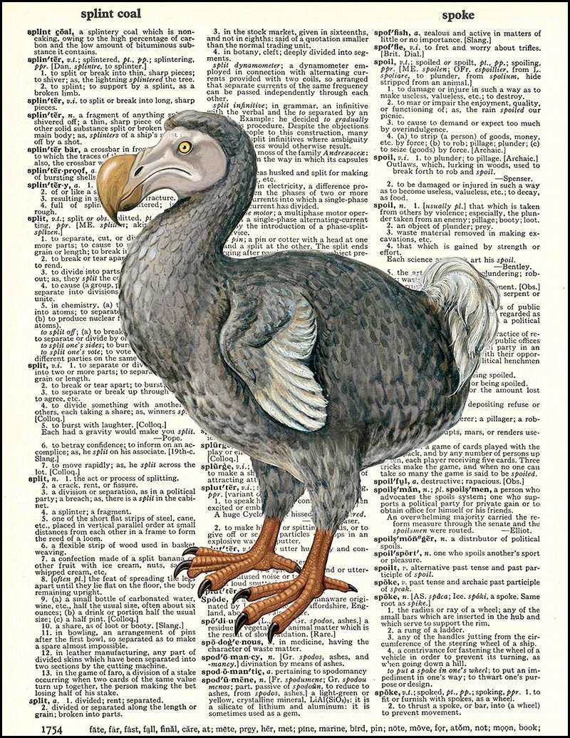 Dodo Bird - Dictionary Art Print
