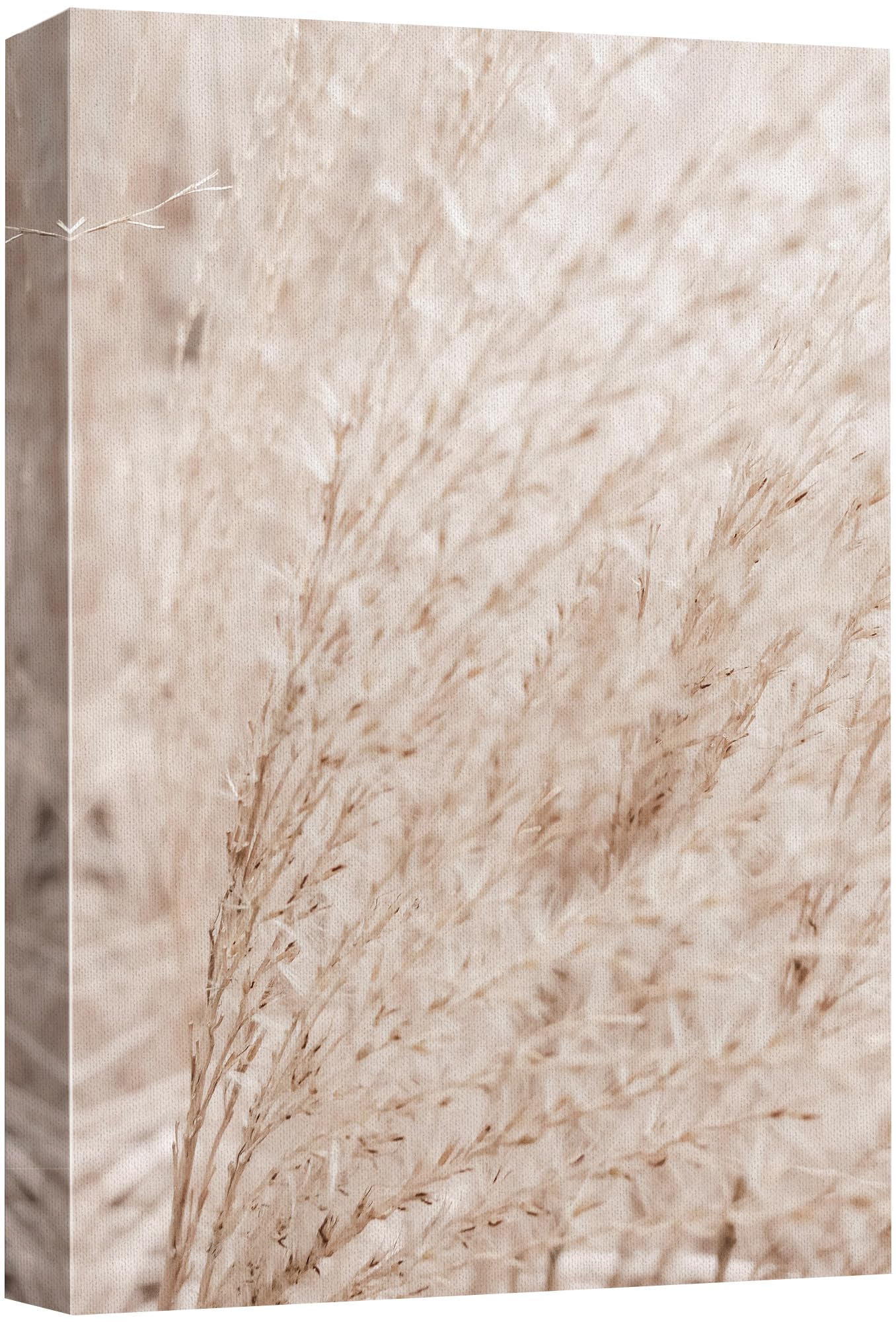 Wall26 Canvas Print Wall Art Soft Sepia Toned Grass Serene Nature-Inspired Nature Wilderness Photography Modern Art Decorative C