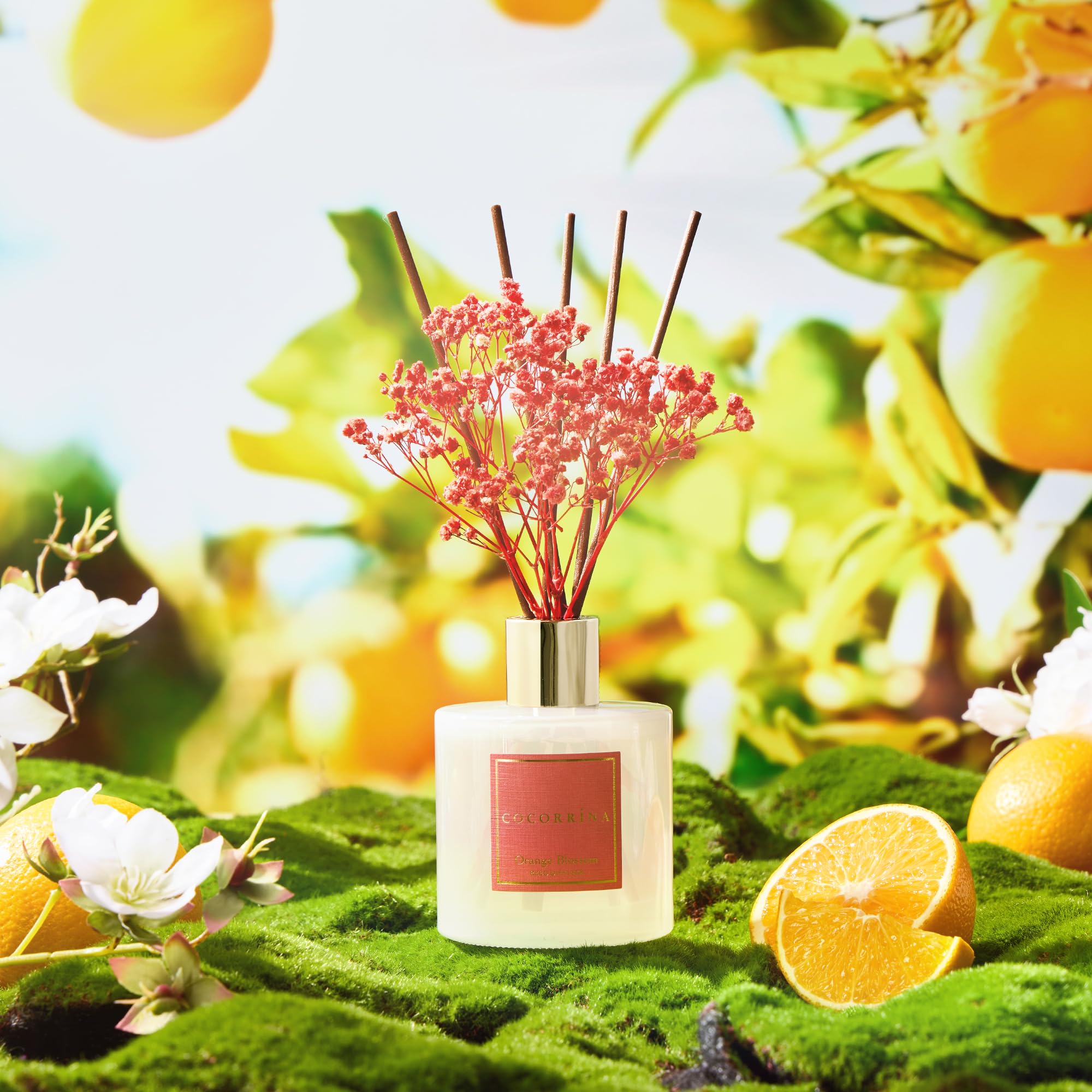 COCORR  NA Reed Diffuser - Orange Blossom 6.76 Fl.oz Reed Diffuser Sets with Preserved Flowers, Diffuser with 8 Sticks for Bathr