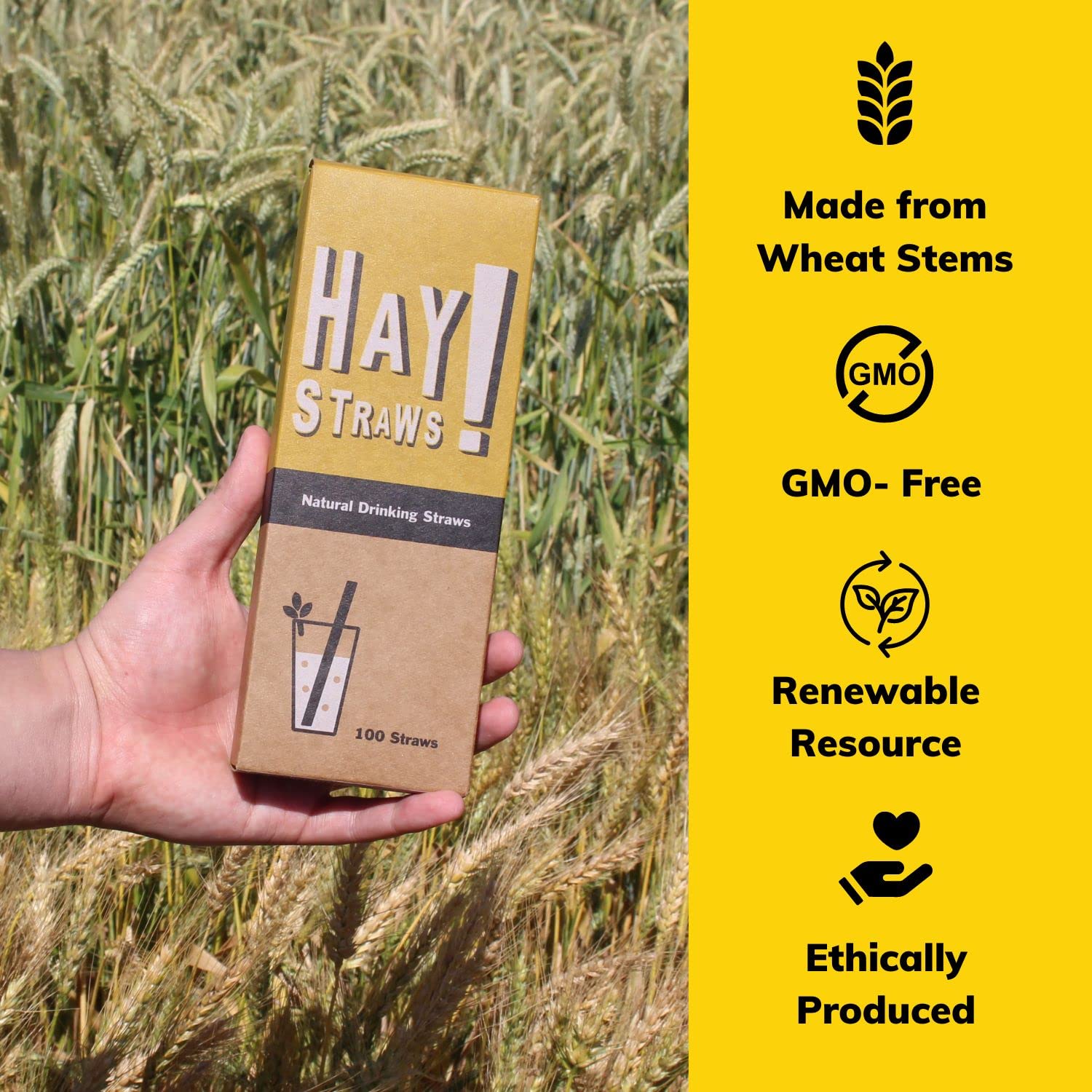 Hay! Straws | 3000Ct. Bulk Straws | 7.75'' | 100% Compostable, 100% Plant-Based, Never Soggy, Gluten-Free | Sustainable Alternat