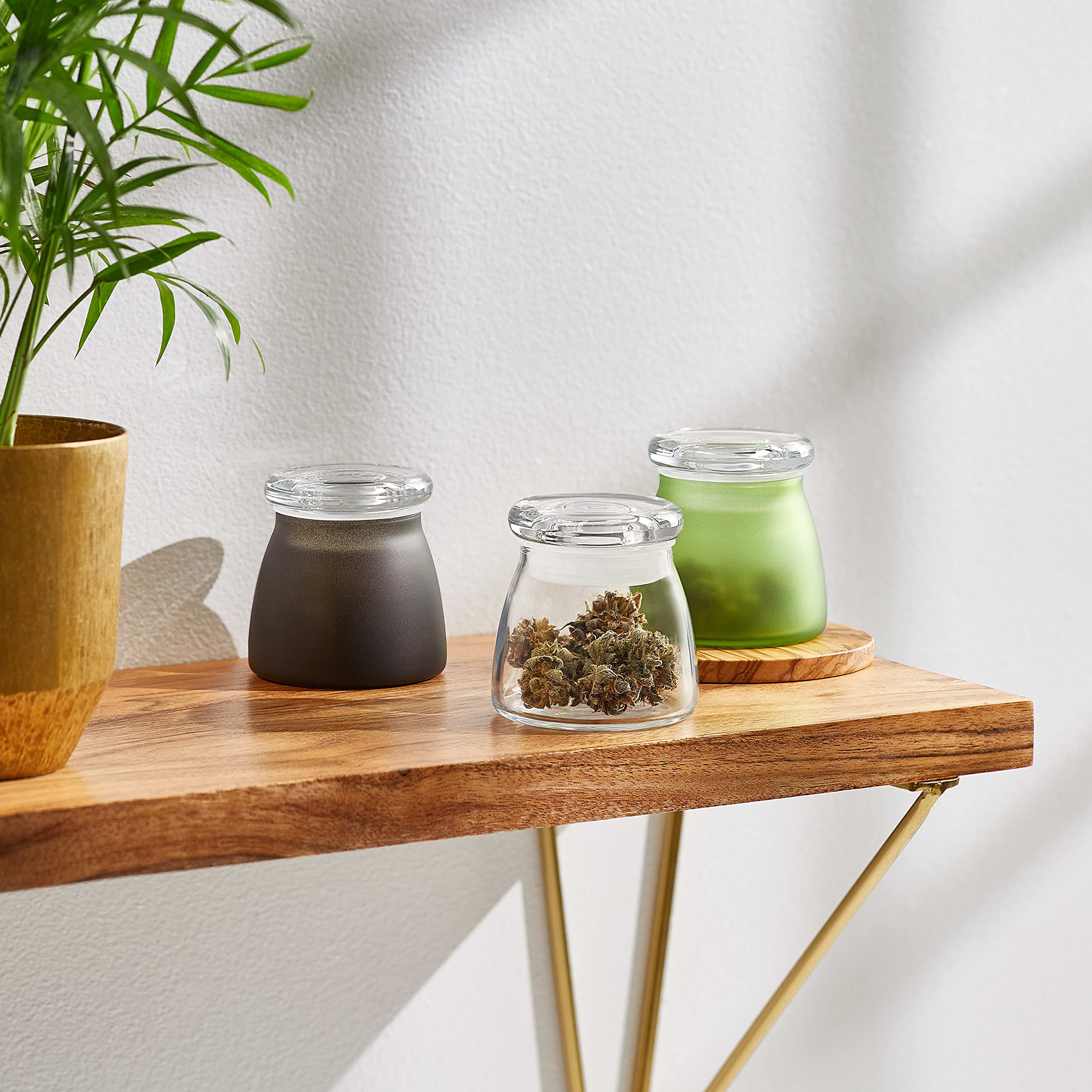 Libbey BudShield Green Storage Jar Set of 3, 4.5 oz Glass Jars with Lid