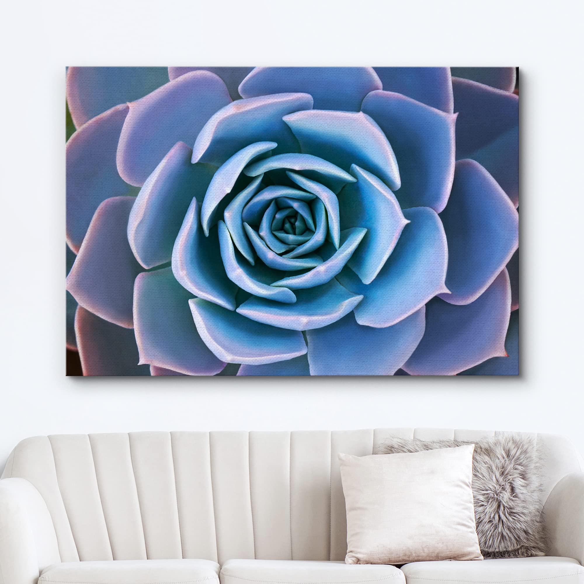 Wall26 Canvas Print Wall Art Blue Purple Desert Echeveria Succulent Nature Floral Photography Realism Botanical Wilderness Zen R