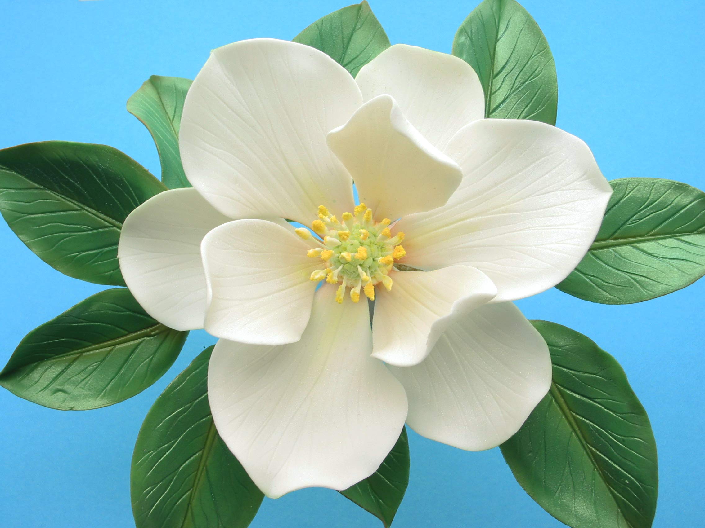 Southern Magnolia Leaf Cutter Set (Set Of 2 Sizes)