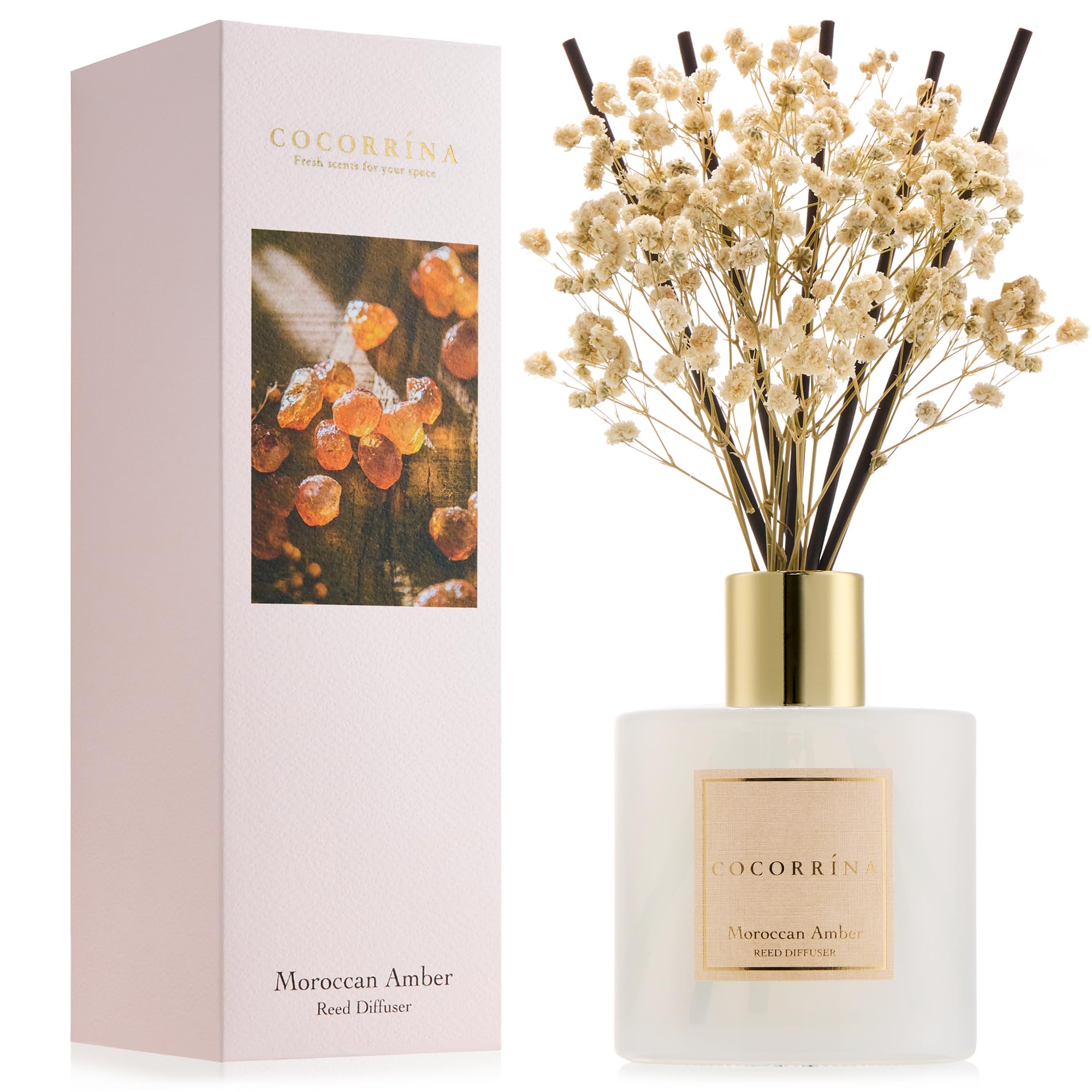COCORR  NA Reed Diffuser - Moroccan Amber 6.7 Fl.oz Reed Diffuser Set with Sticks & Preserved Babys Breath, Reed Diffuser for H
