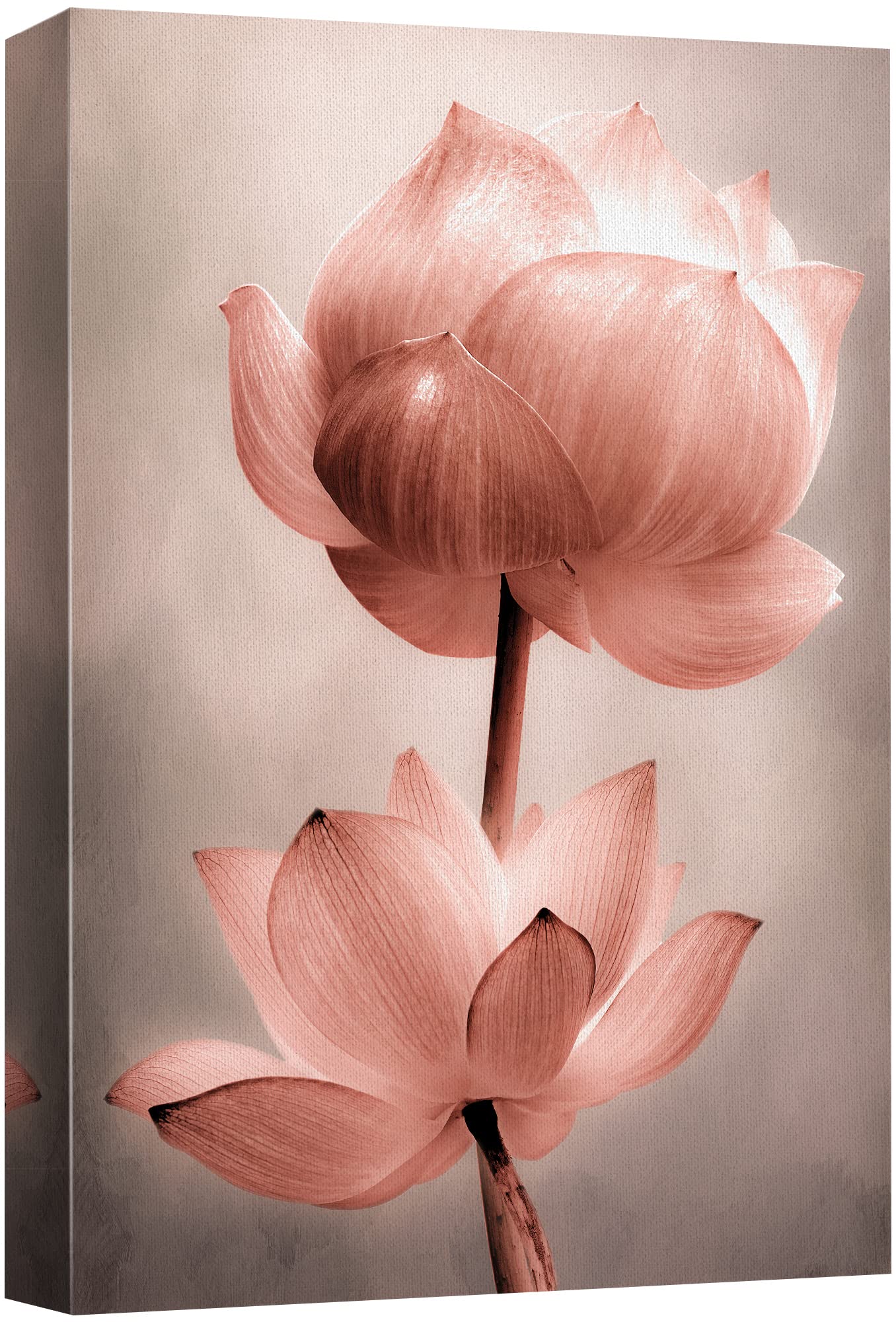 Wall26 Canvas Wall Art - Closeup Of Lotus Flower - Gallery Wrap Modern Home Art | Ready To Hang - 12X18 Inches