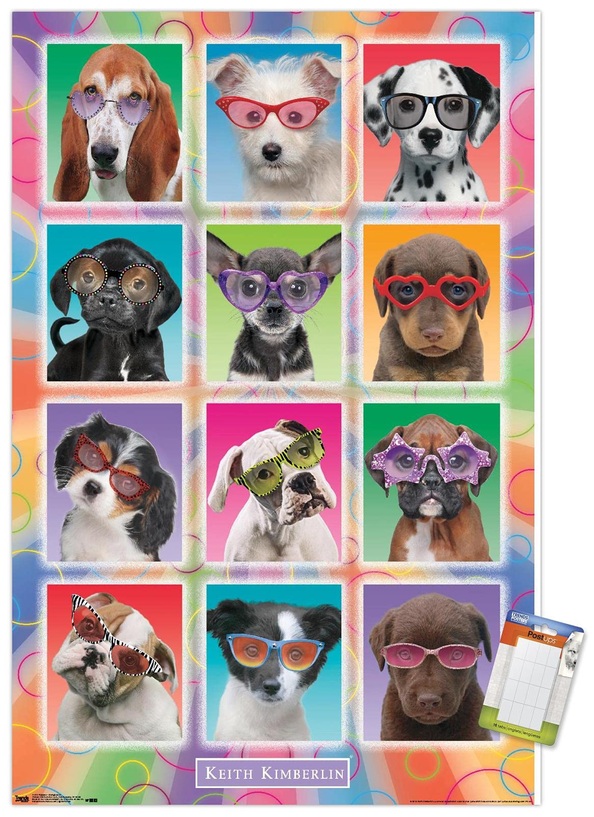 Trends International Keith Kimberlin - Puppies - Sunglasses Wall Poster, 22.375'' X 34'', Premium Poster & Mount Bundle