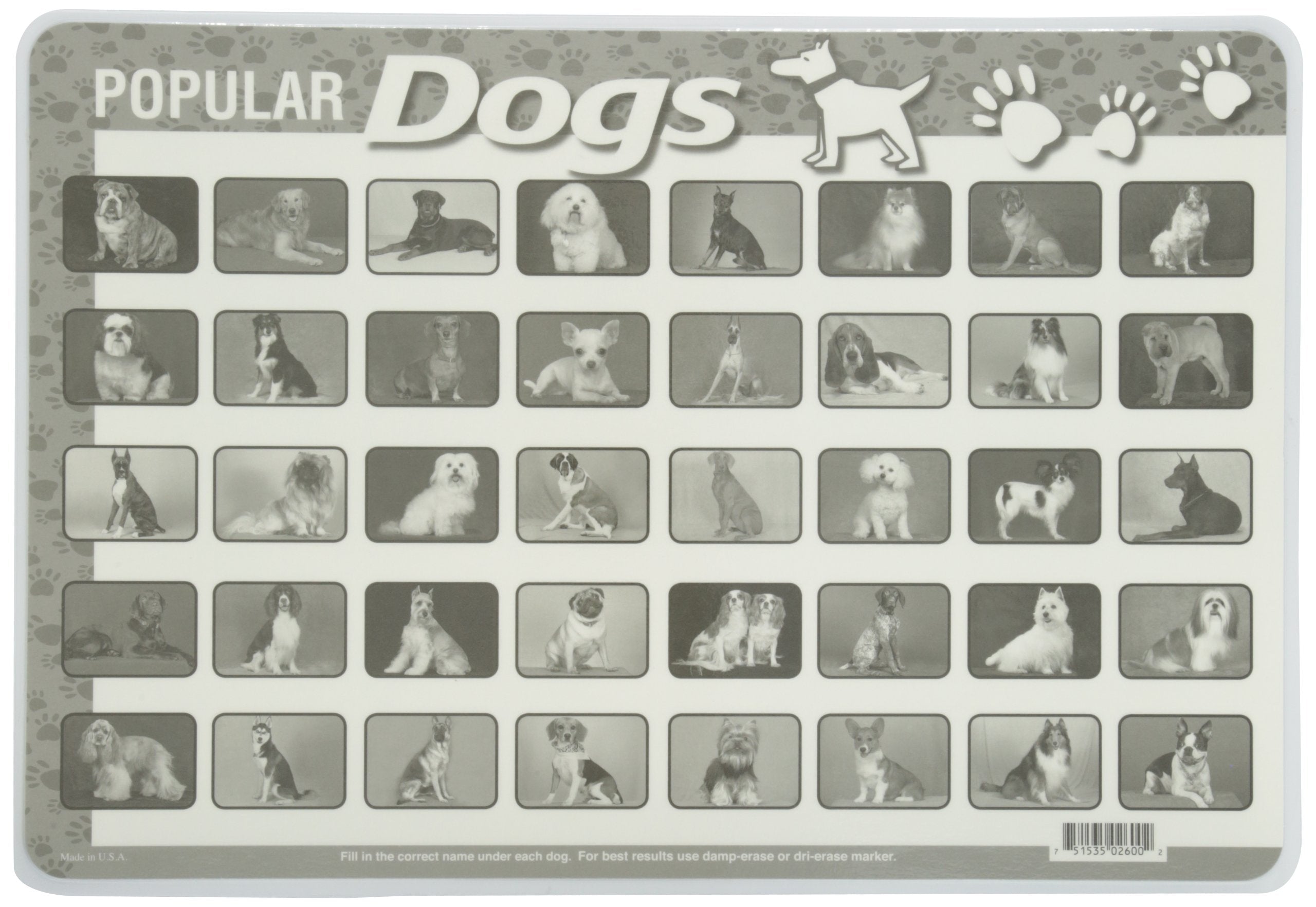 Painless Learning Popular Dogs Placemat, Medium