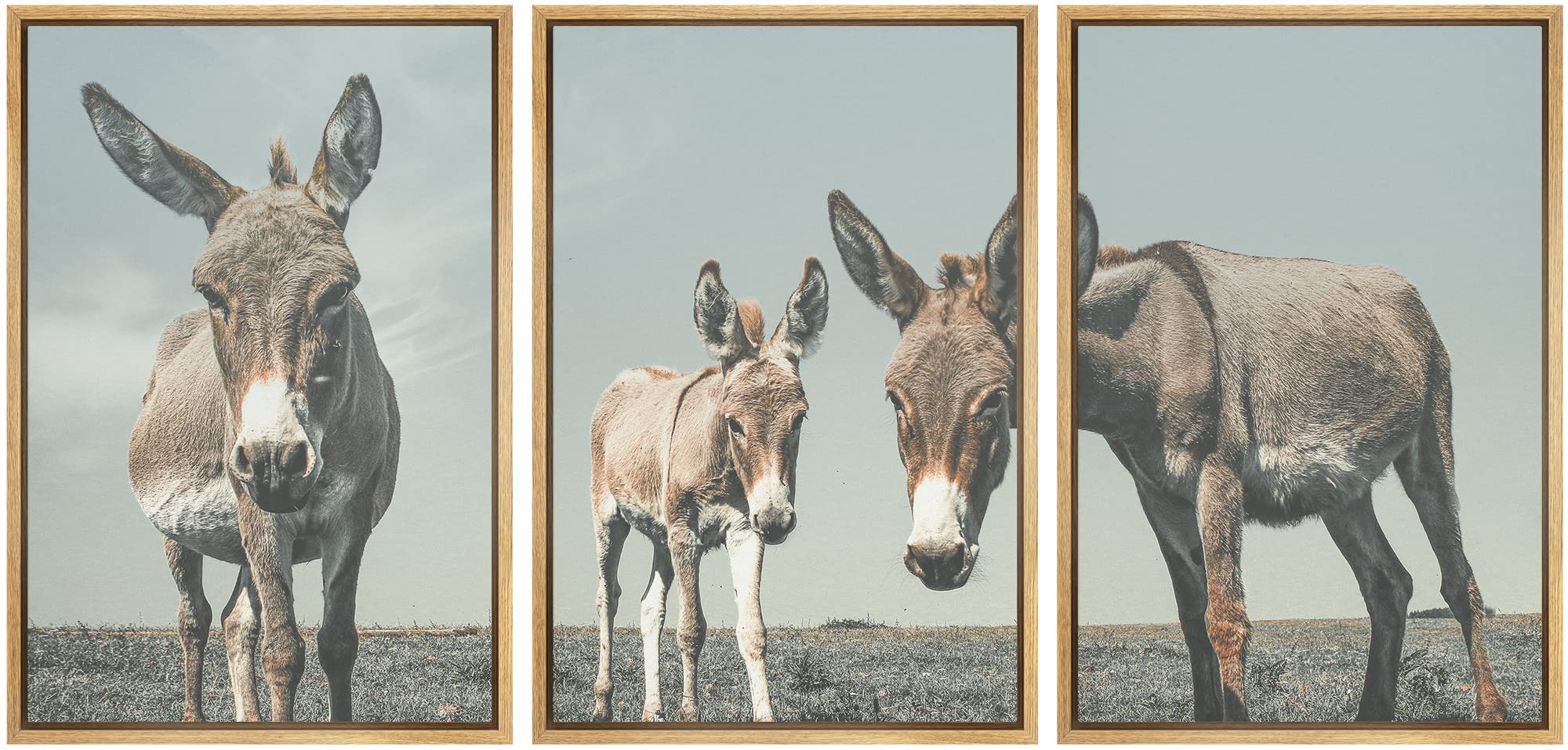 Wall26 Framed Wall Art Print Set Washed Out Retro Donkeys In The Desert Animals Wildlife Photography Realism Chic Portrait Color