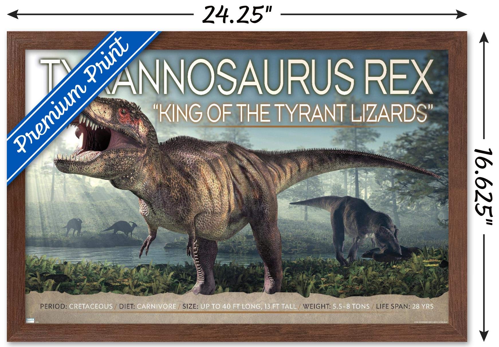 Trends International Dinosaurs - T-Rex Wall Poster, 14.725'' X 22.375'', Mahogany Framed Version