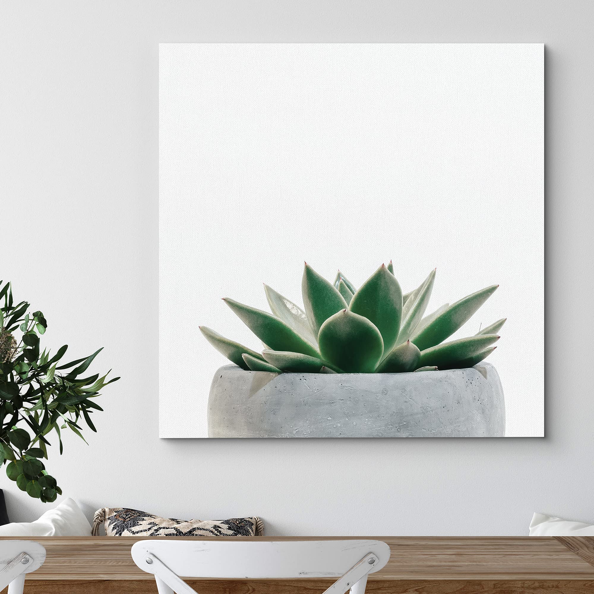 Wall26 Canvas Print Wall Art Green Succulent In Gray Pot Nature Wilderness Photography Realism Chic Scenic Relax/Calm Multicolor