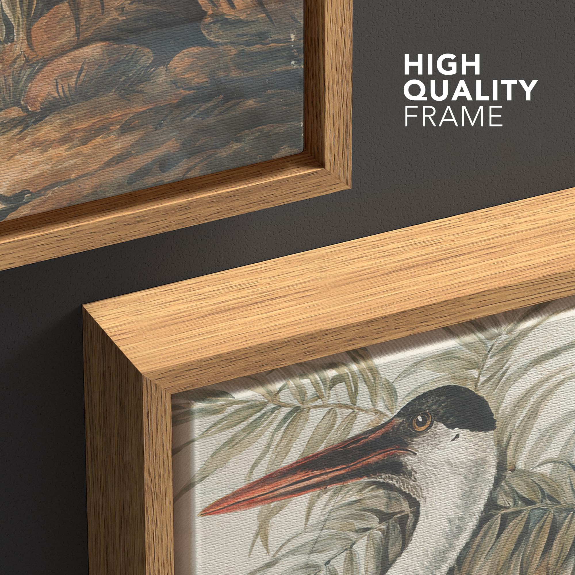 Wall26 Framed Canvas Print Wall Art Fine Art Tropical Swamp Heron Bird Nature Wilderness Illustrations Modern Art Botanical Flor