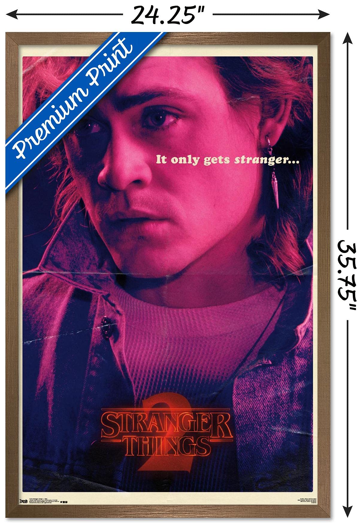 Trends International Netflix Stranger Things: Season 2 - Billy Wall Poster, 22.375'' X 34'', Bronze Framed Version