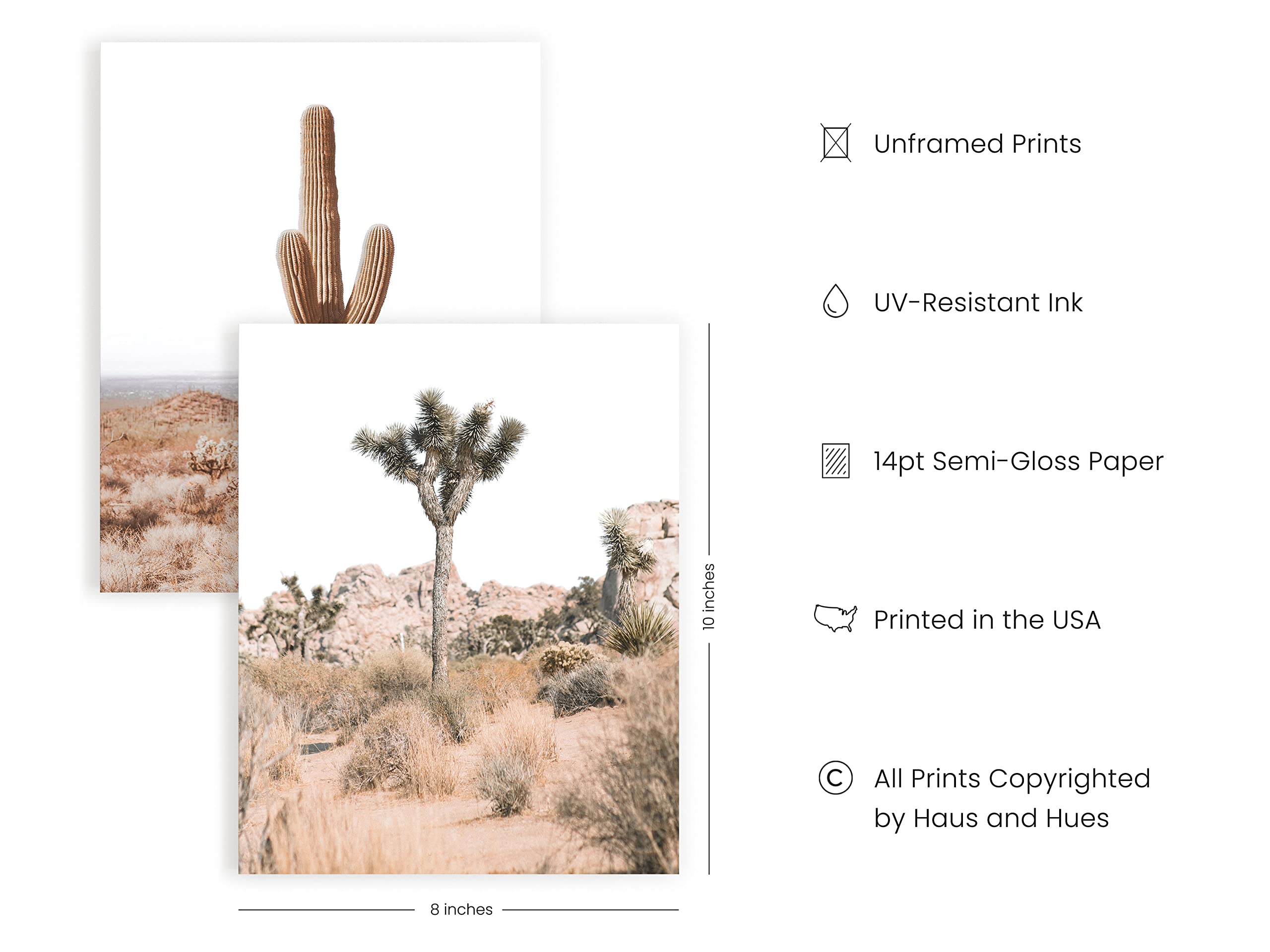HAUS AND HUES Desert Succulent Wall Art & Botanical Prints Set of 6 Southwestern Wall Decor  Cactus Art Prints  Joshua Tree Wall Art  Desert Art Cactus Wall Decor Posters Nature UNFRAMED (8x10)