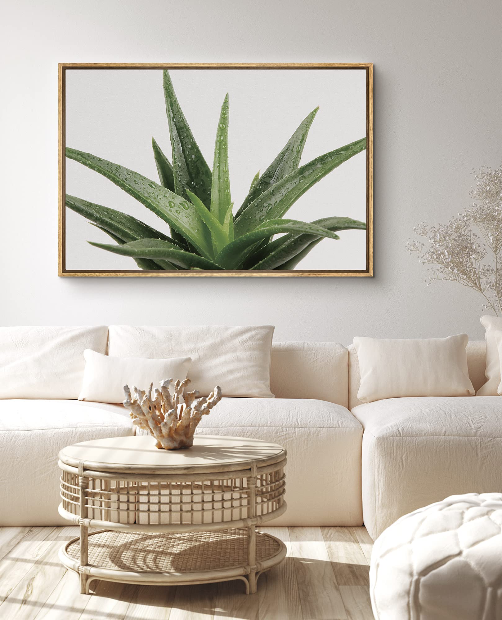 Signford Framed Canvas Print Wall Art Green Aloe Vera Succulent Botanical Wilderness Photography Realism Contemporary Portrait C