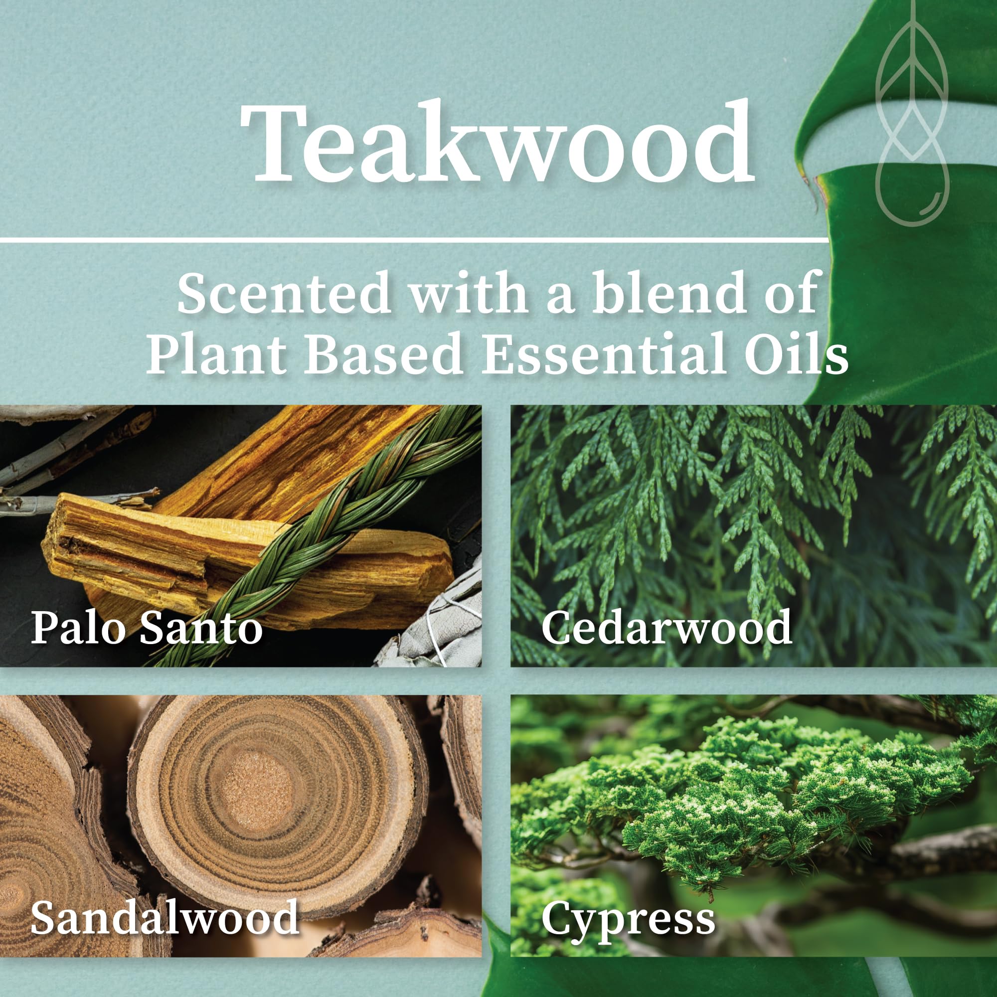 Hemlock Park Crackling Wood Wick Candle Handcrafted with Natural Coconut Wax and Essential Oils (Teakwood, Standard 8 oz)