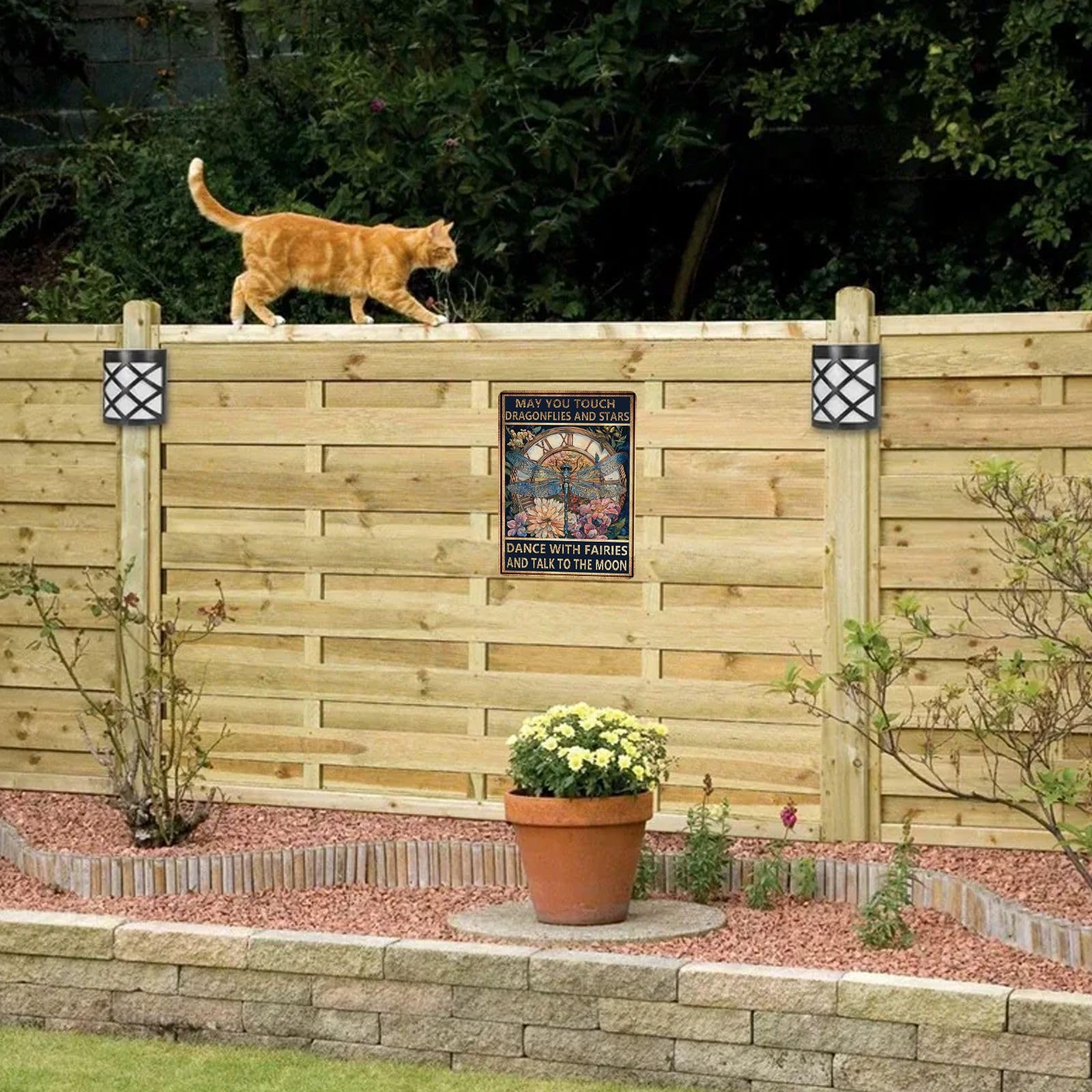 Metal Tin Signs May You Touch Dragonflies and Stars Dance with Fairies and Talk to The Moon Vintage Aluminum Sign Wall Decor for