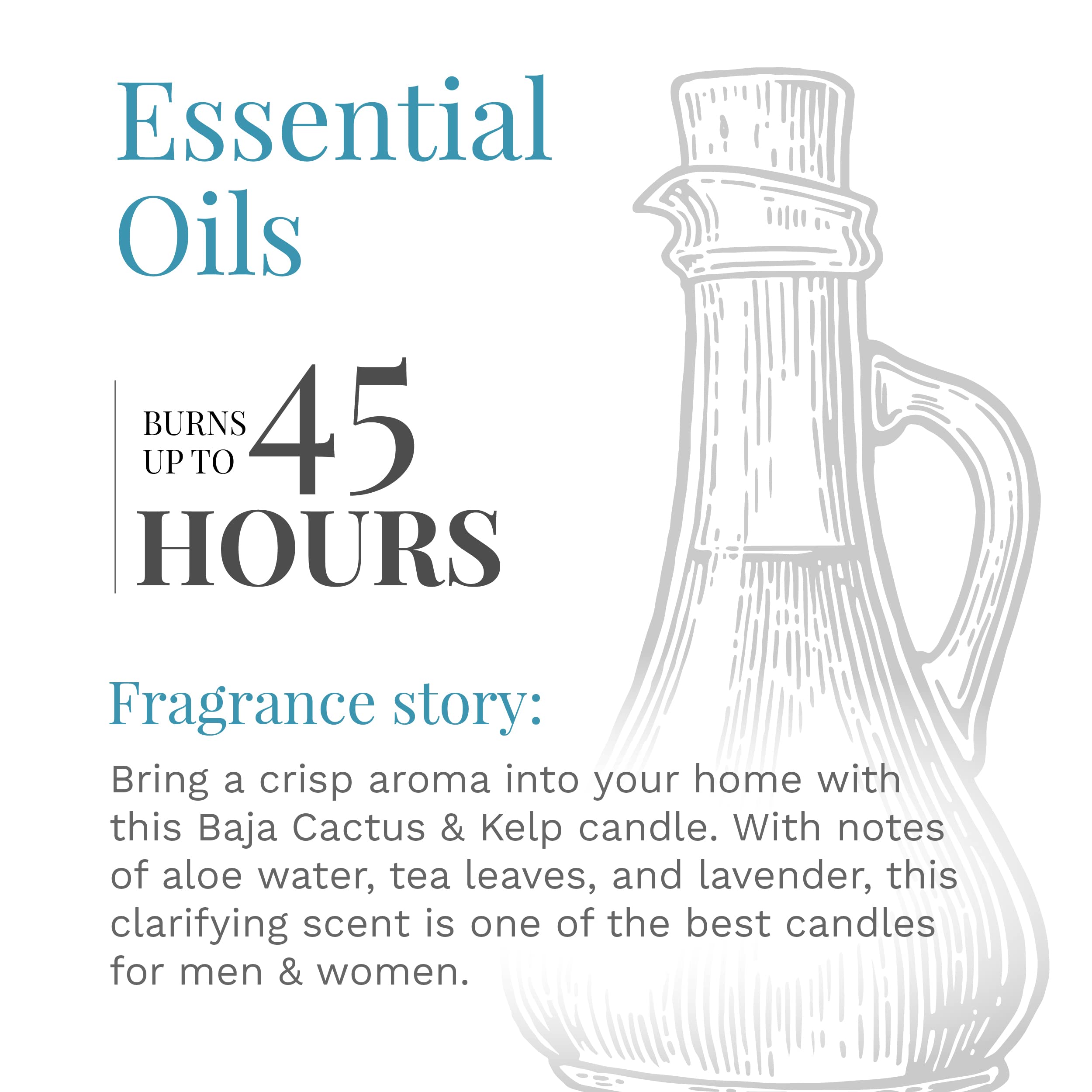 Essential Elements by Candle-lite Scented Candles, Baja Cactus & Kelp Fragrance, One 14.75 oz. Three-Wick Aromatherapy Candle wi