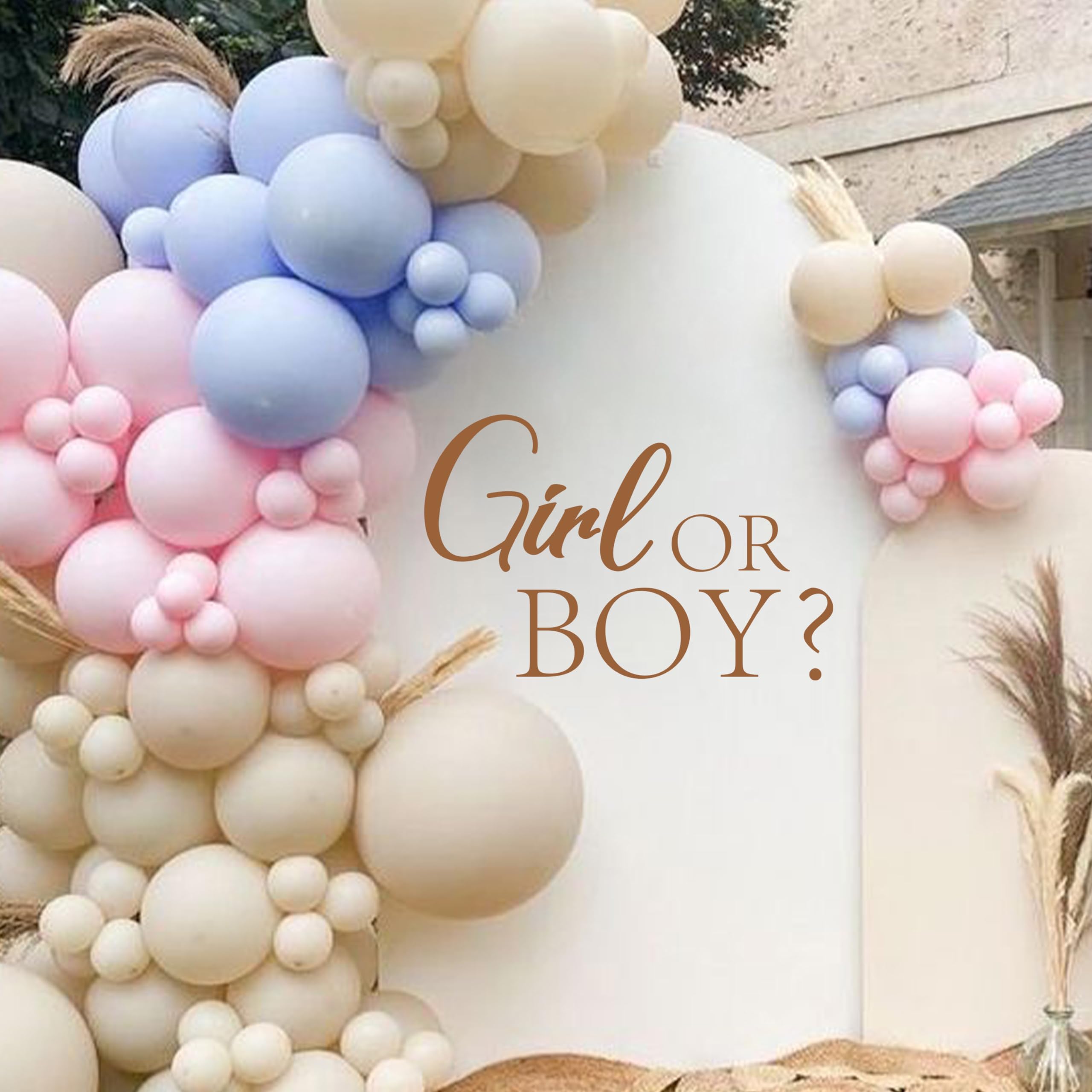 Cieqr Girl Or Boy Gender Reveal Sign Decal - Baby Shower Party Decal Sign, Baby Shower Decorations For Party, Balloon Arch, Back