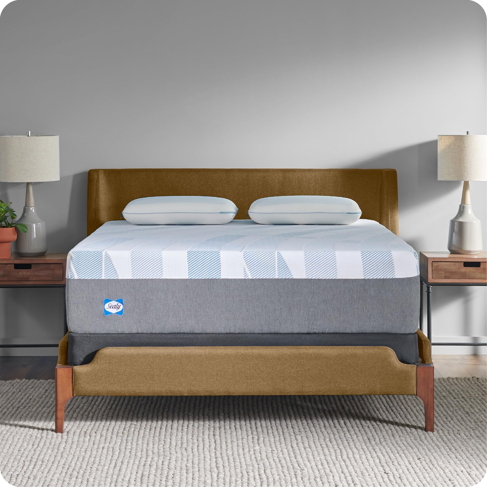 Sealy Dreamlife 14    Foam Mattress-In-A-Box, California King, Sealycomfort Gel Memory Foam, Sealysupport Transition Foam, Machi
