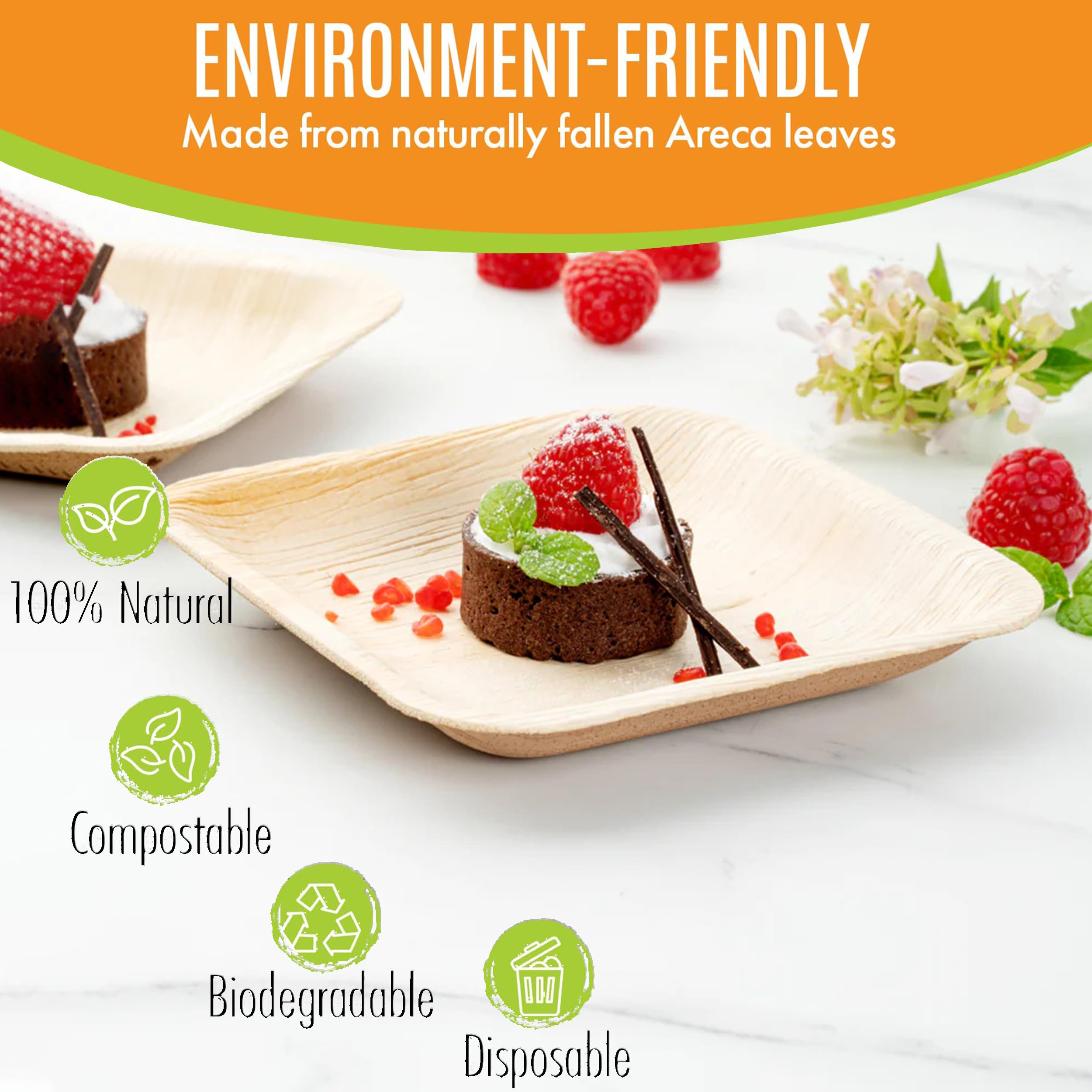 Raj Eco Compostable Palm Leaf Plates Like Bamboo Plates Disposable - 6 Inch Square 50 Party Plates  Natural Wooden  Eco-Friendly  Fancy Biodegradable & Disposable Dessert Appetizer Plates