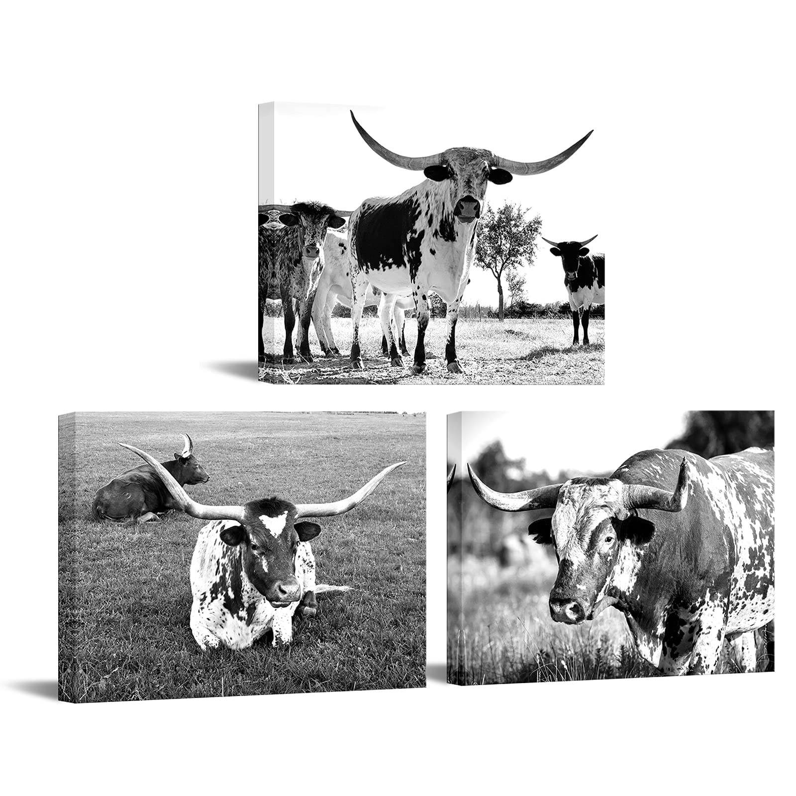 Nachic Wall 3 Pieces Longhorn Wall Art Black And White Longhorn Decor Pictures Painting For Living Room Farmhouse Cabin