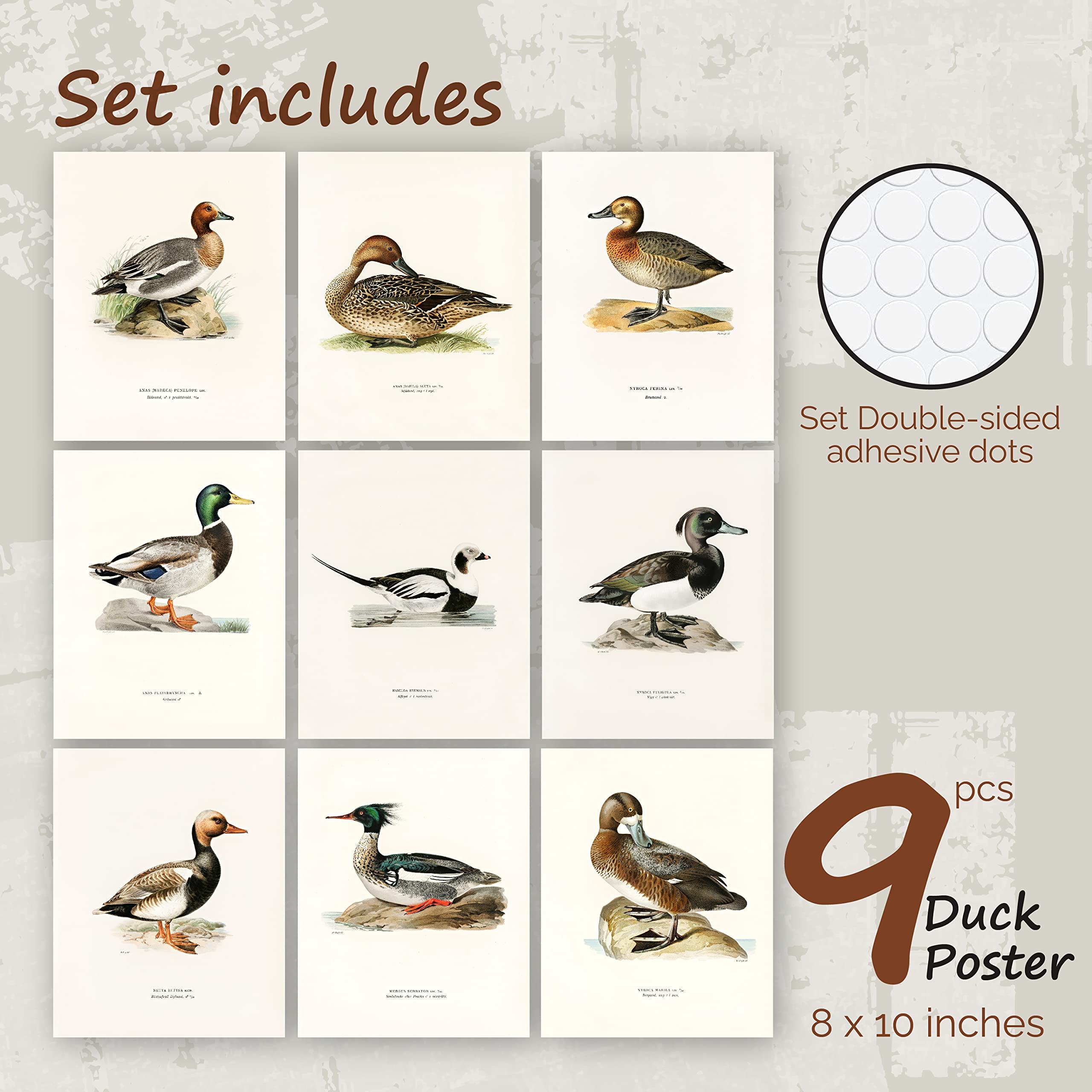 97 Decor Mallard Duck Decor - Duck Decorations For Home, Mallard Duck Pictures Wall Decor, Vintage Waterfowl Print Bird Hunting