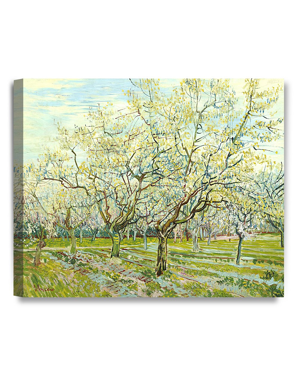 Decorarts - The White Orchard By Vincent Van Gogh. Oil Painting Reproduction. Giclee Print On Canvas. Ready To Hang Wall Art For