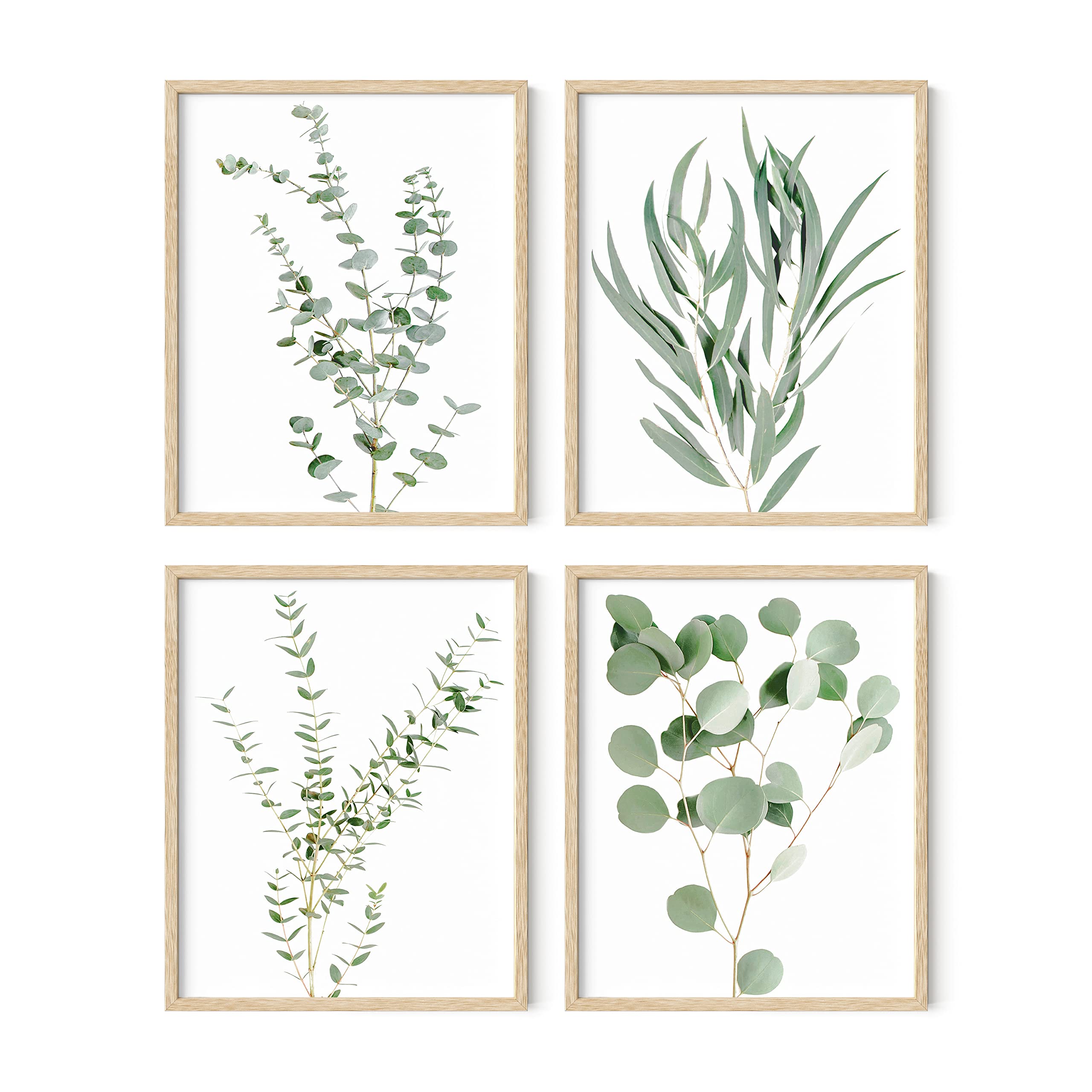 Haus And Hues Framed Botanical Prints - Set Of 4 Framed Plant Pictures Wall Art, Botanical Decor, Eucalyptus Decor, Plant Wall D