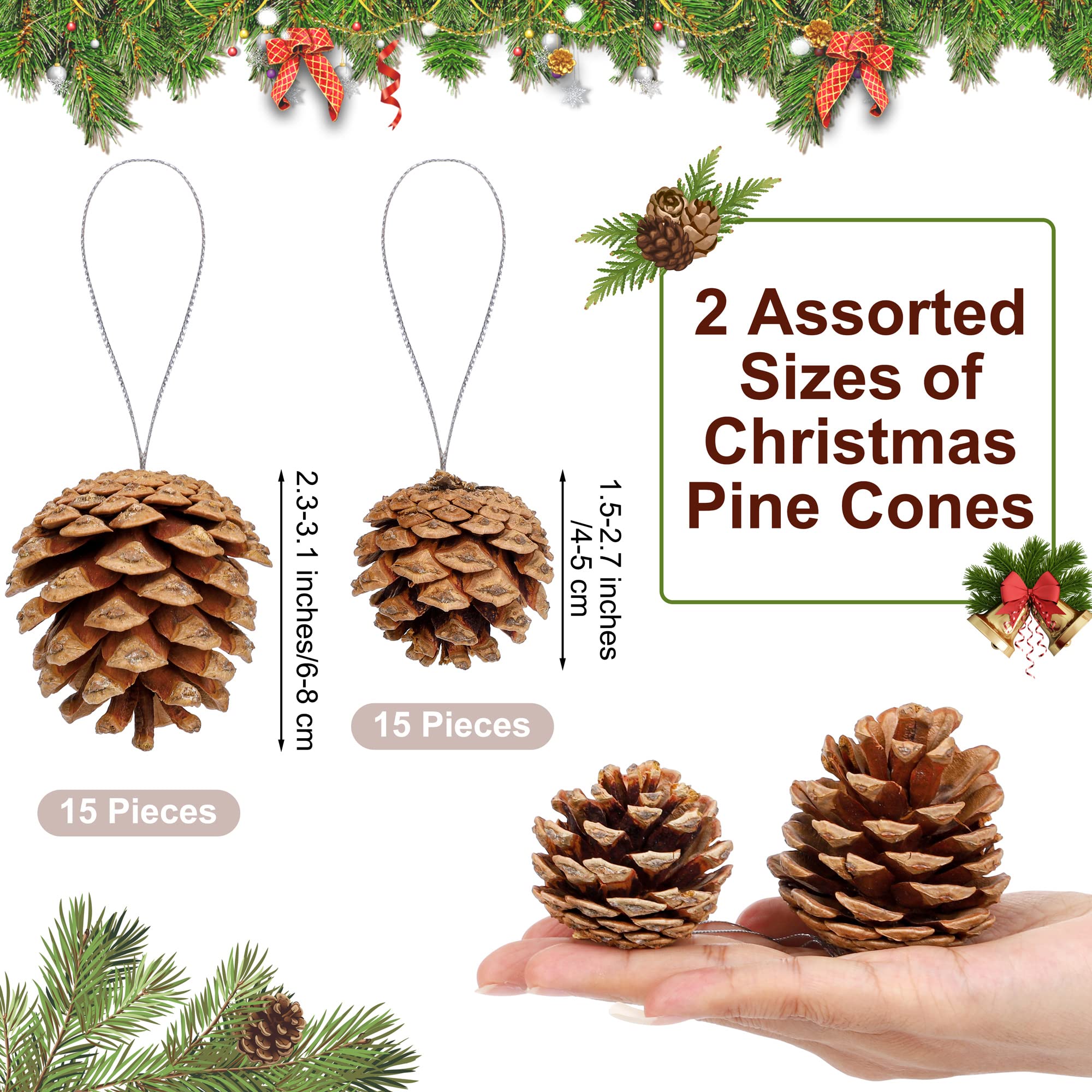 Fovths 30 Pieces 2 Size Christmas Pine Cones with String Mini Rustic Pinecones Bulk Ornaments for Xmas Tree Crafts Holiday Home