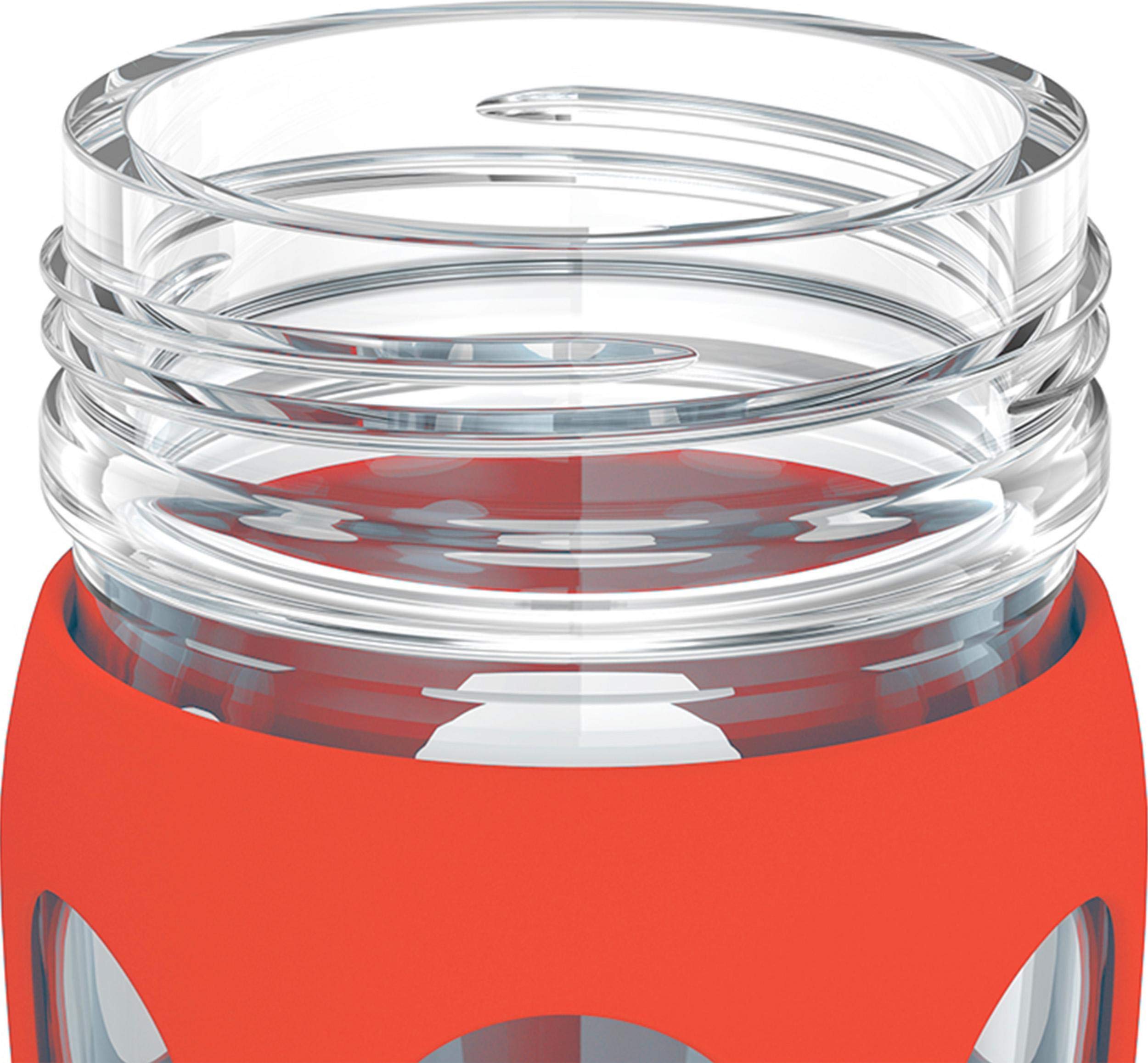 Lifefactory 16-Ounce Bpa-Free Glass Water Bottle With Classic Cap And Protective Silicone Sleeve, Poppy