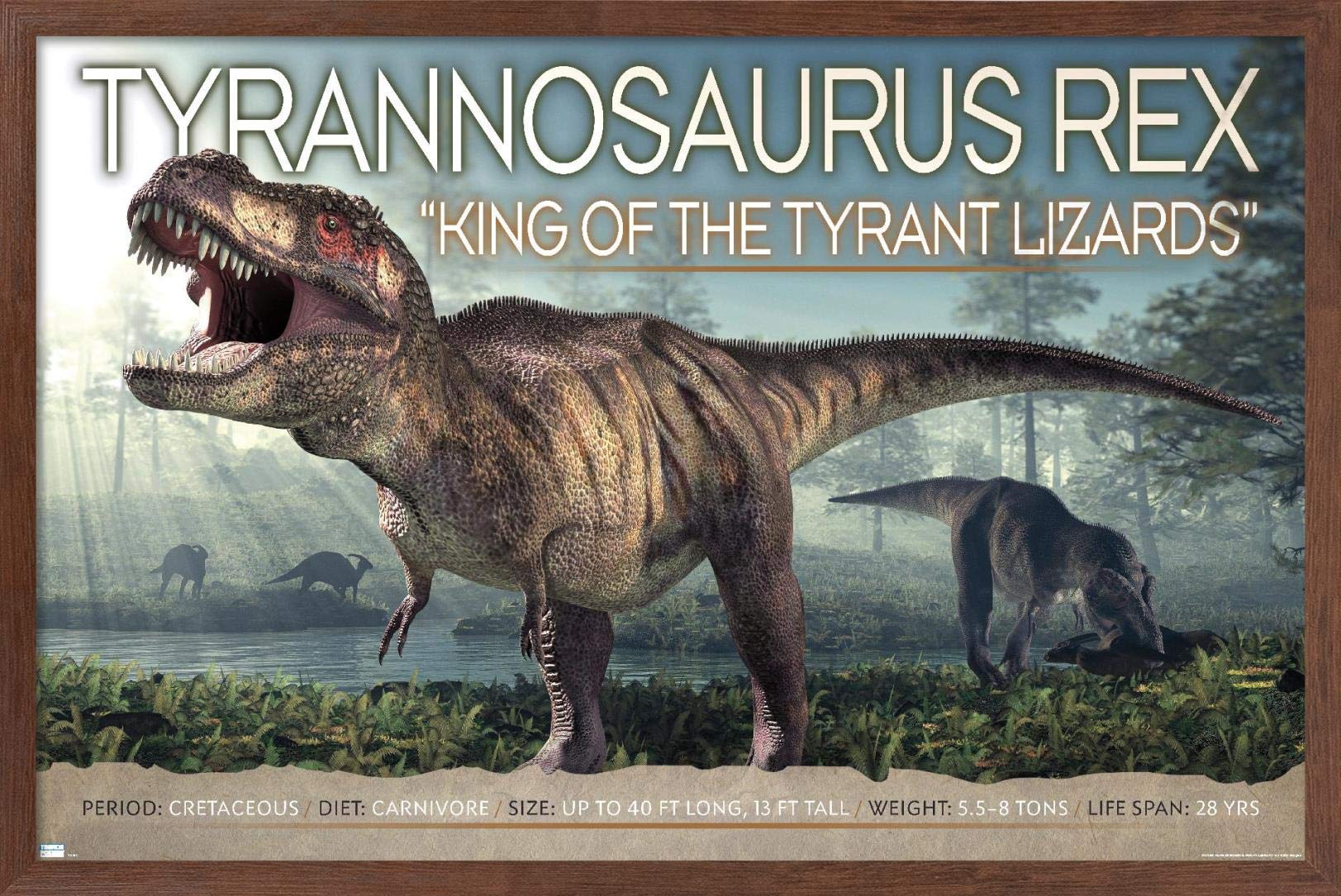 Trends International Dinosaurs - T-Rex Wall Poster, 14.725'' X 22.375'', Mahogany Framed Version
