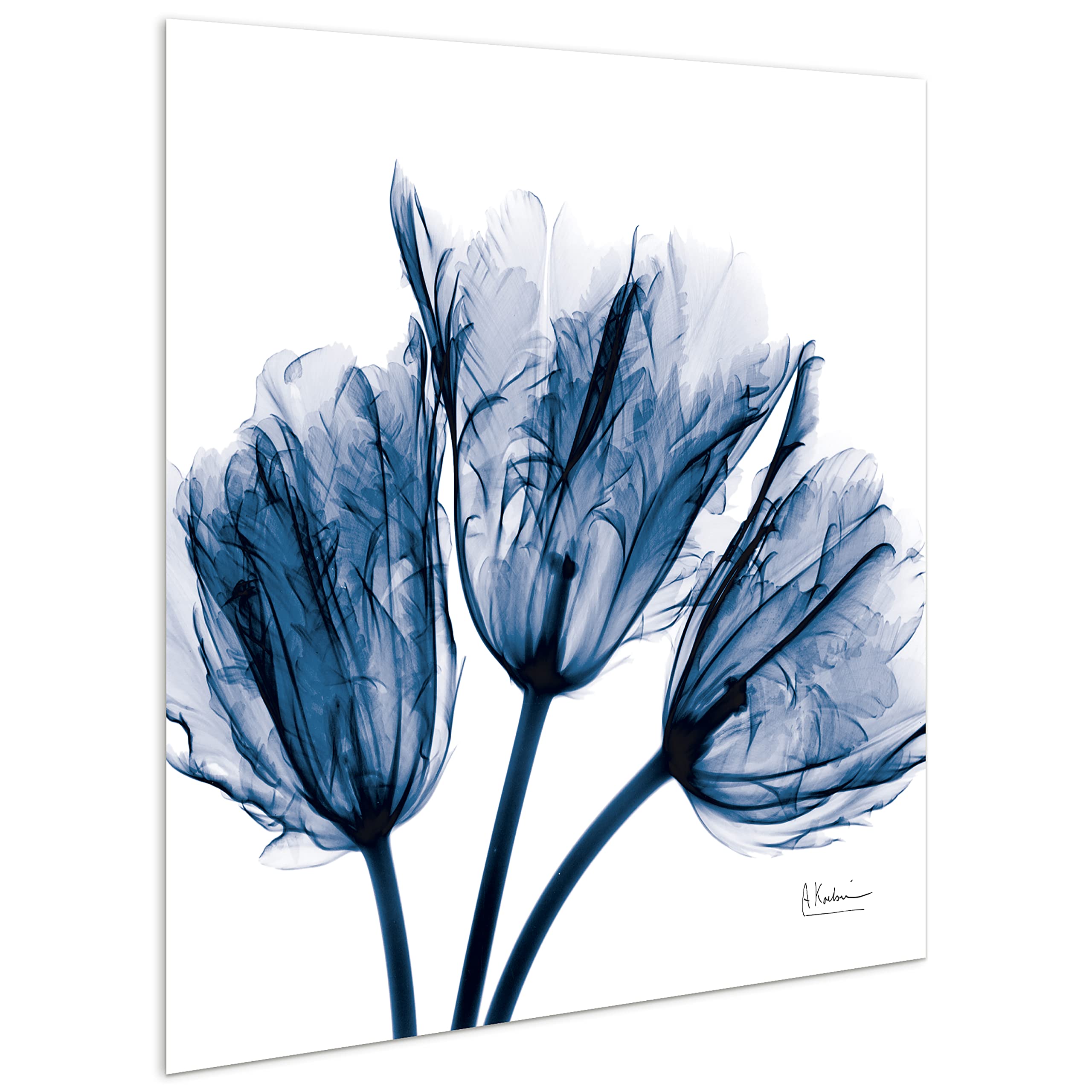 Empire Art Direct - Tmp-Ak011A-2424 Blue Tulip X-Ray Flower Wall Art On Frameless Free Floating Tempered Glass Panel Ready To Ha