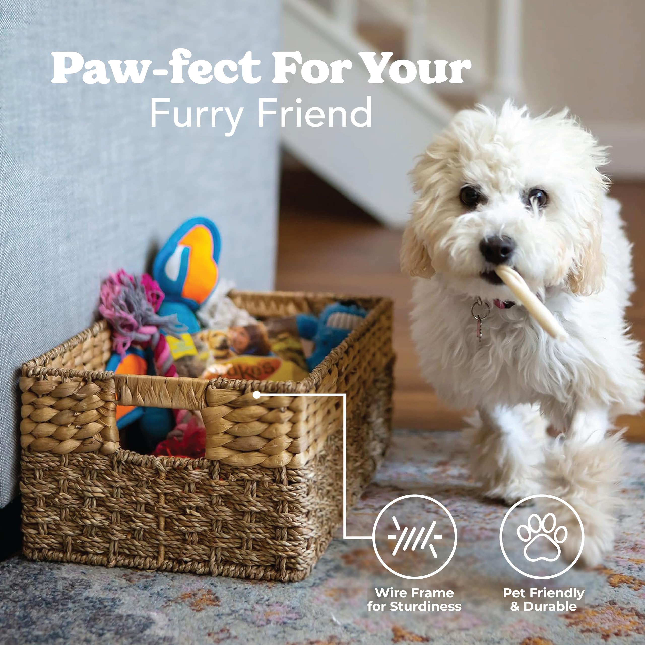 Wicker Storage Baskets - Rattan Baskets For Kitchen Organization, Wicker Storage Cubes & Shelf Baskets, Water Hyacinth Wicker La