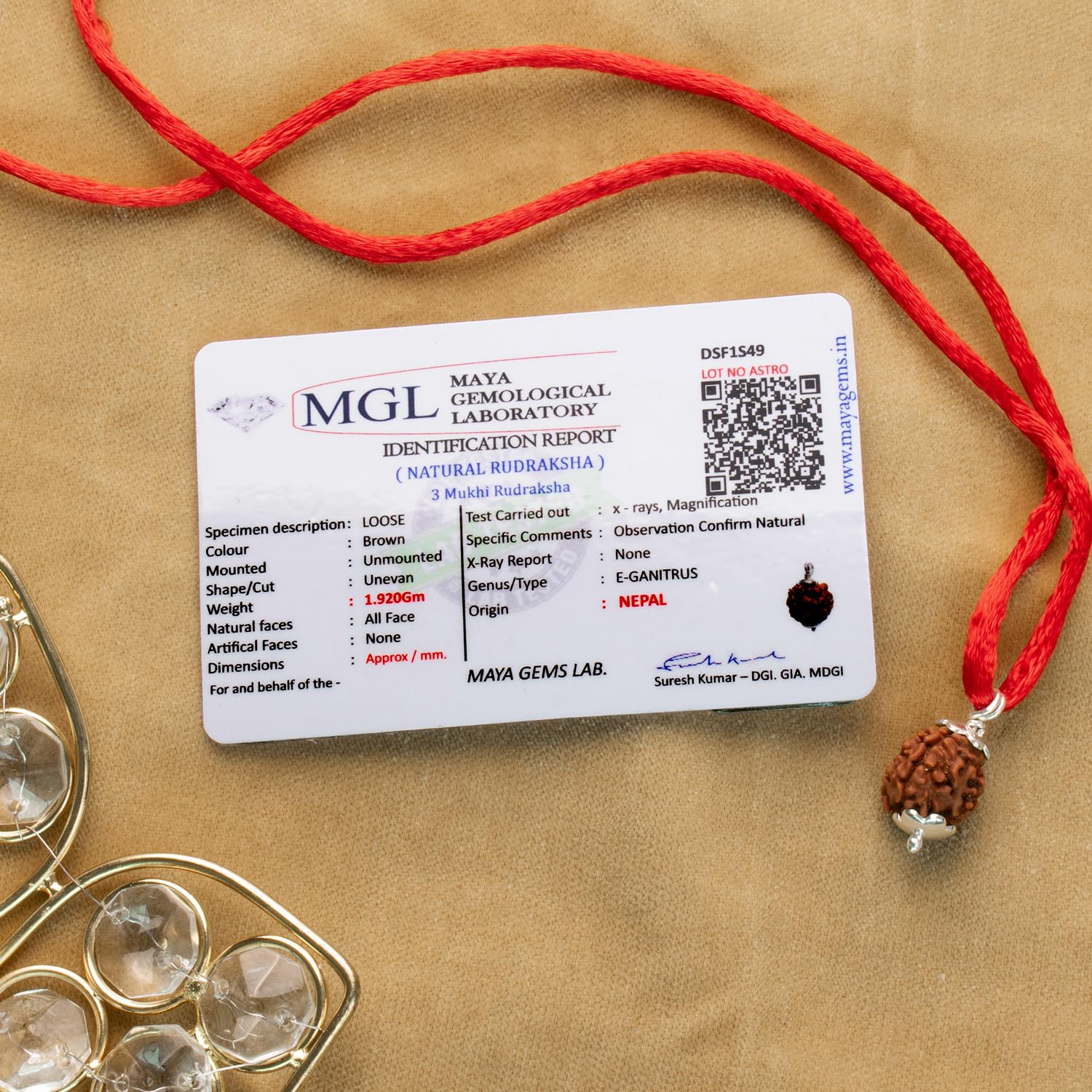Astrotalk Nepal Origin 3 Mukhi Rudraksha with Silver-Capping | Ignite Self-Transformation & Confidence | Emotional Healing, Mental Clarity & Strength | Sacred Rudraksha Bead for Women & Men