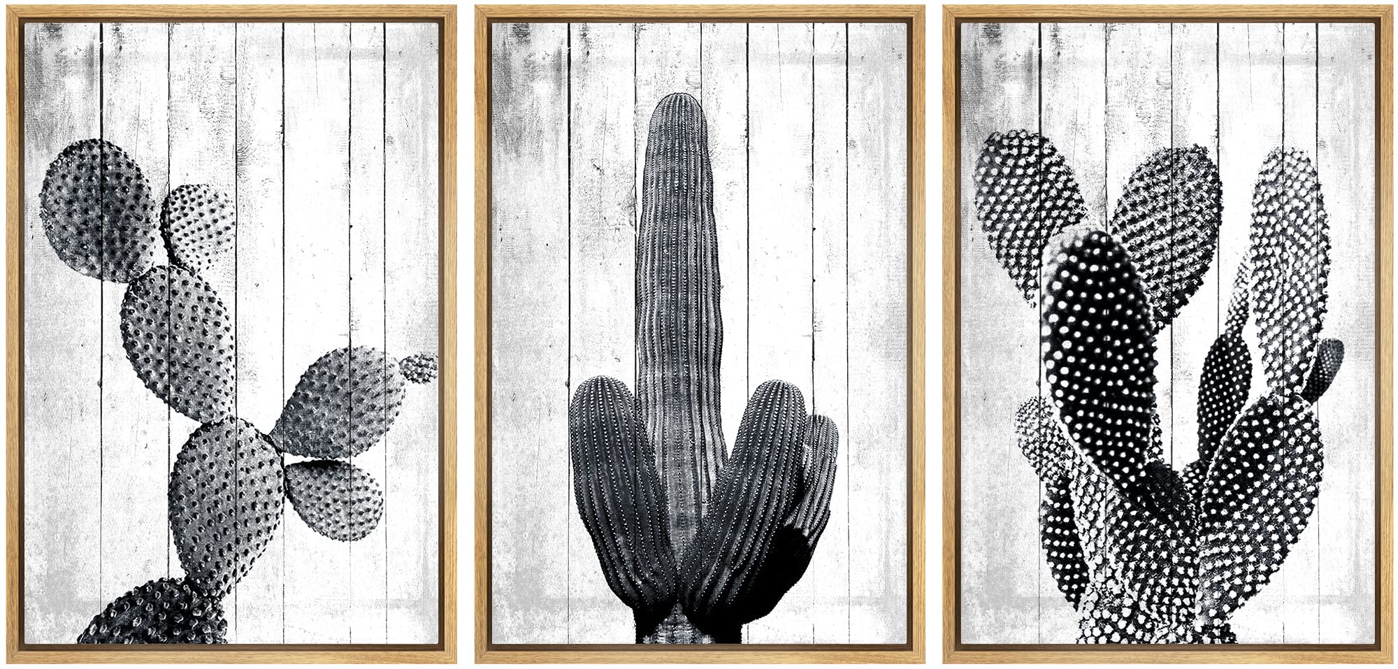 Signwin Framed Canvas Print Wall Art Black And White Cactus Groups Decorative Shapes Illustrations Modern Art Rustic Relax/Calm