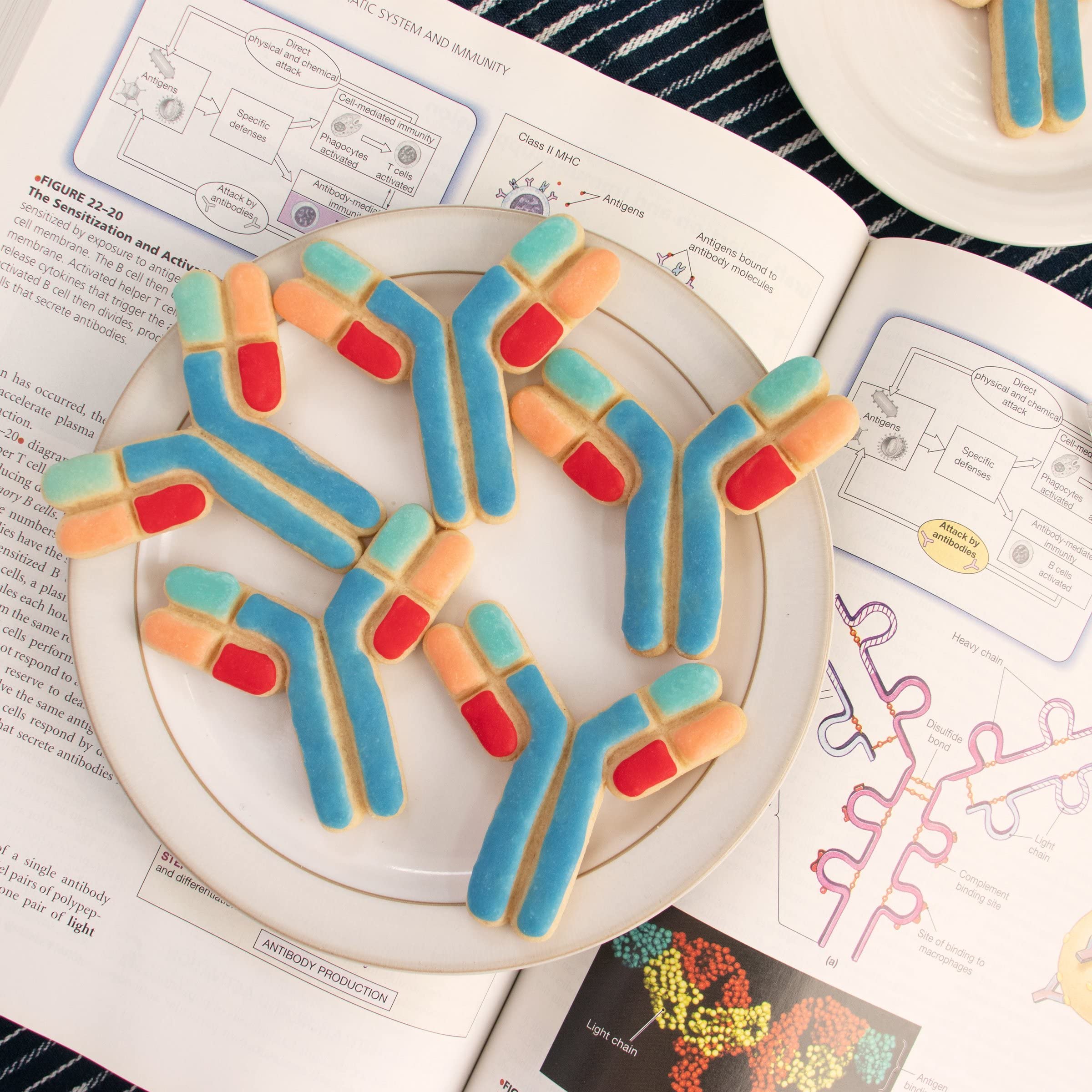 Antibody Cookie Cutter, 1 Piece - Bakerlogy