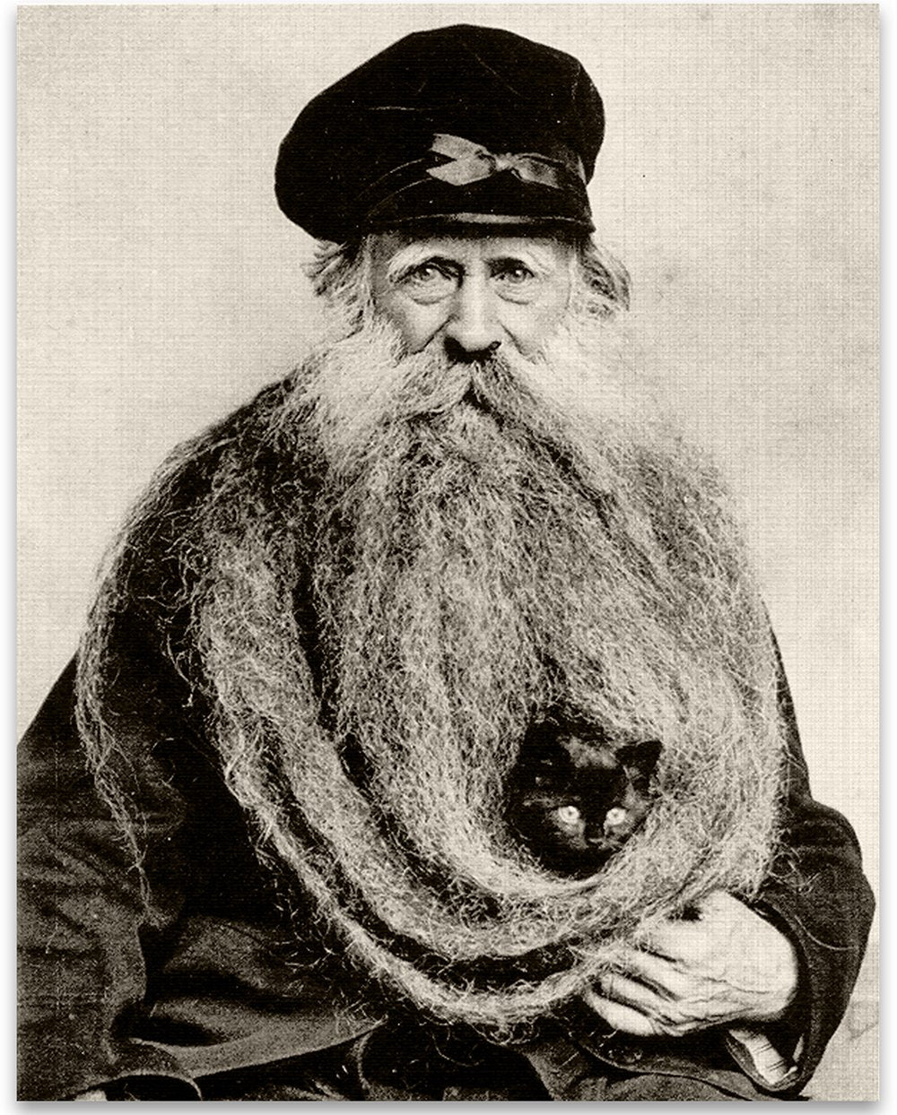 Lone Star Art Quirky Kitten Hiding In Old Mans Giant Beard Bizarre Strange Weird Vintage Photo - 11X14 Unframed Print - Perfect