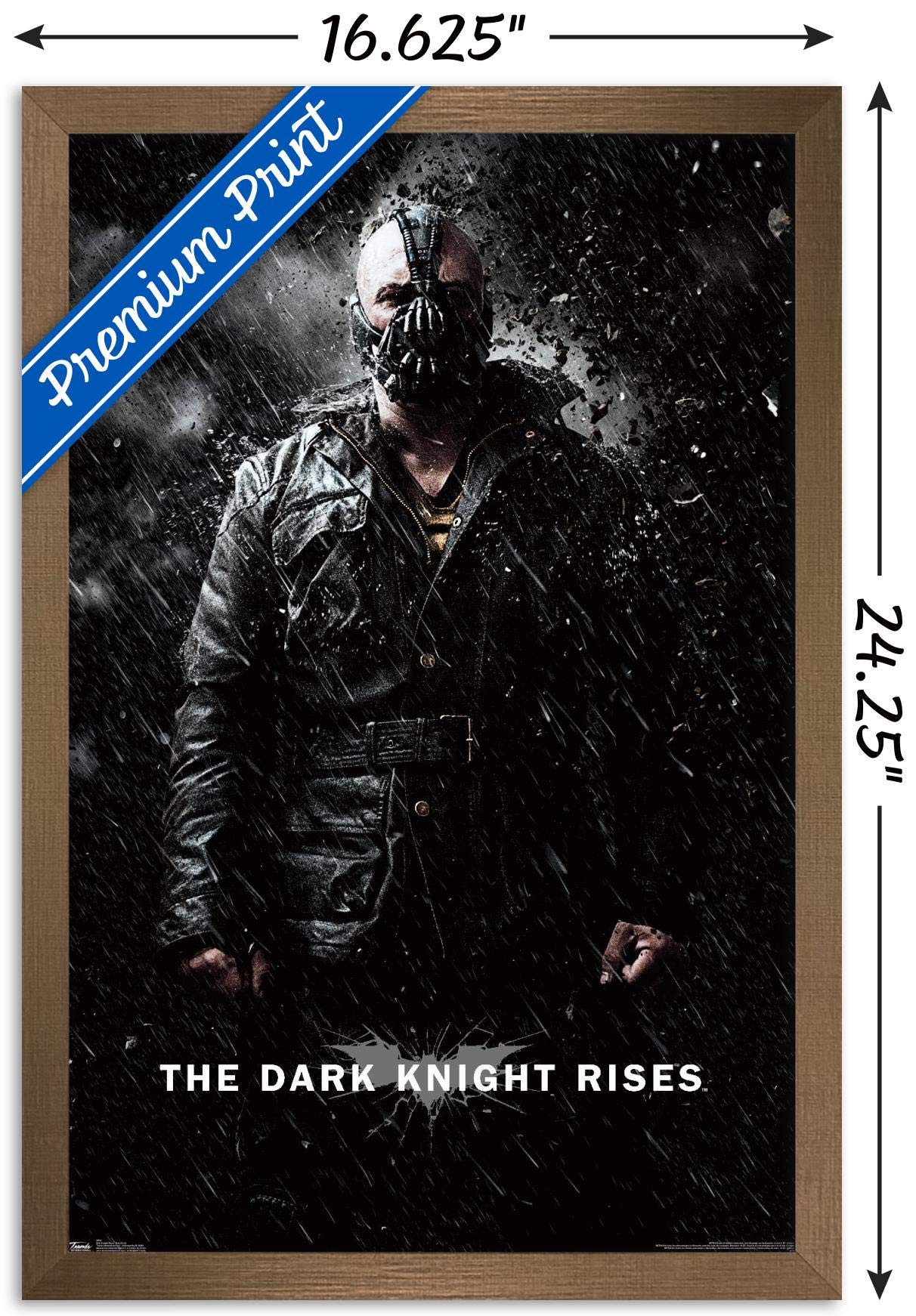Trends International Dc Comics Movie - The Dark Knight Rises - Bane Rain Wall Poster, 14.725'' X 22.375'', Bronze Framed Version