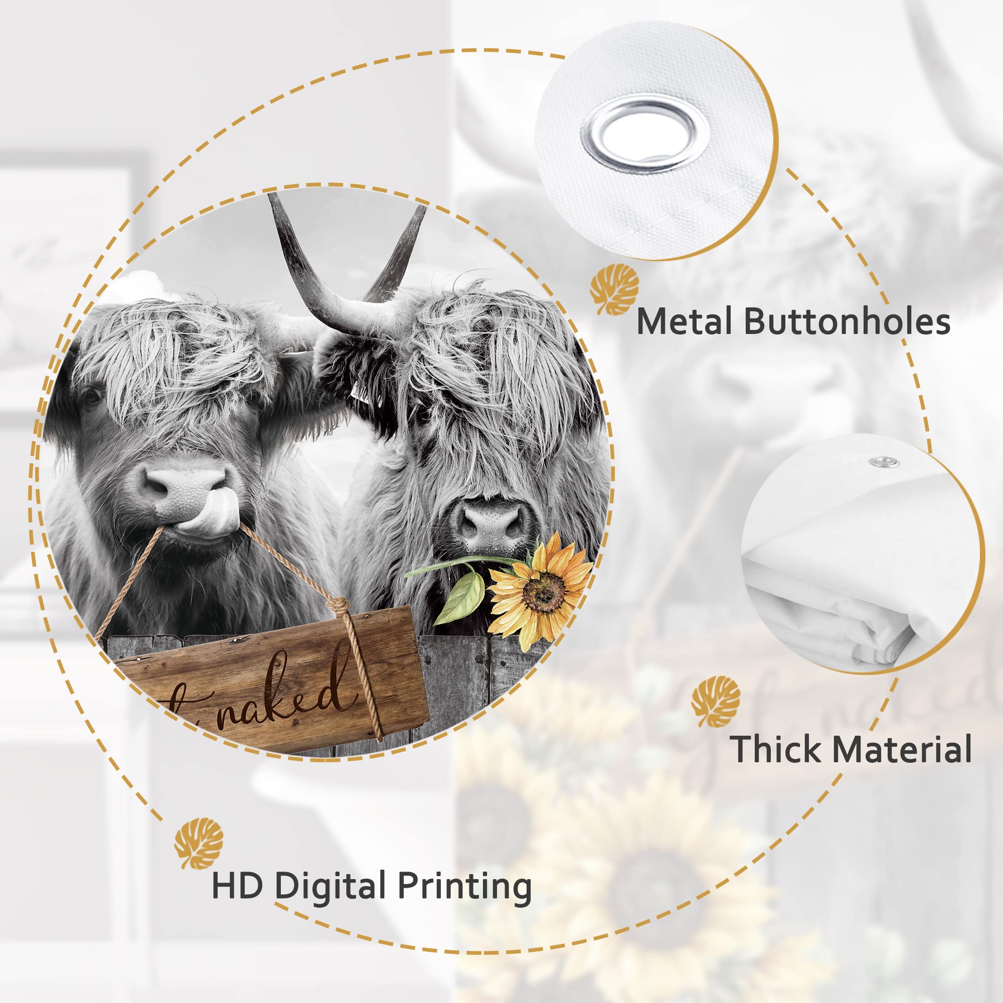 Glawry Vintage Highland Cow Sunflower Shower Curtain 60Wx72L Inches Funny Western Country Retro Get Naked Bull Cattle Farmhouse