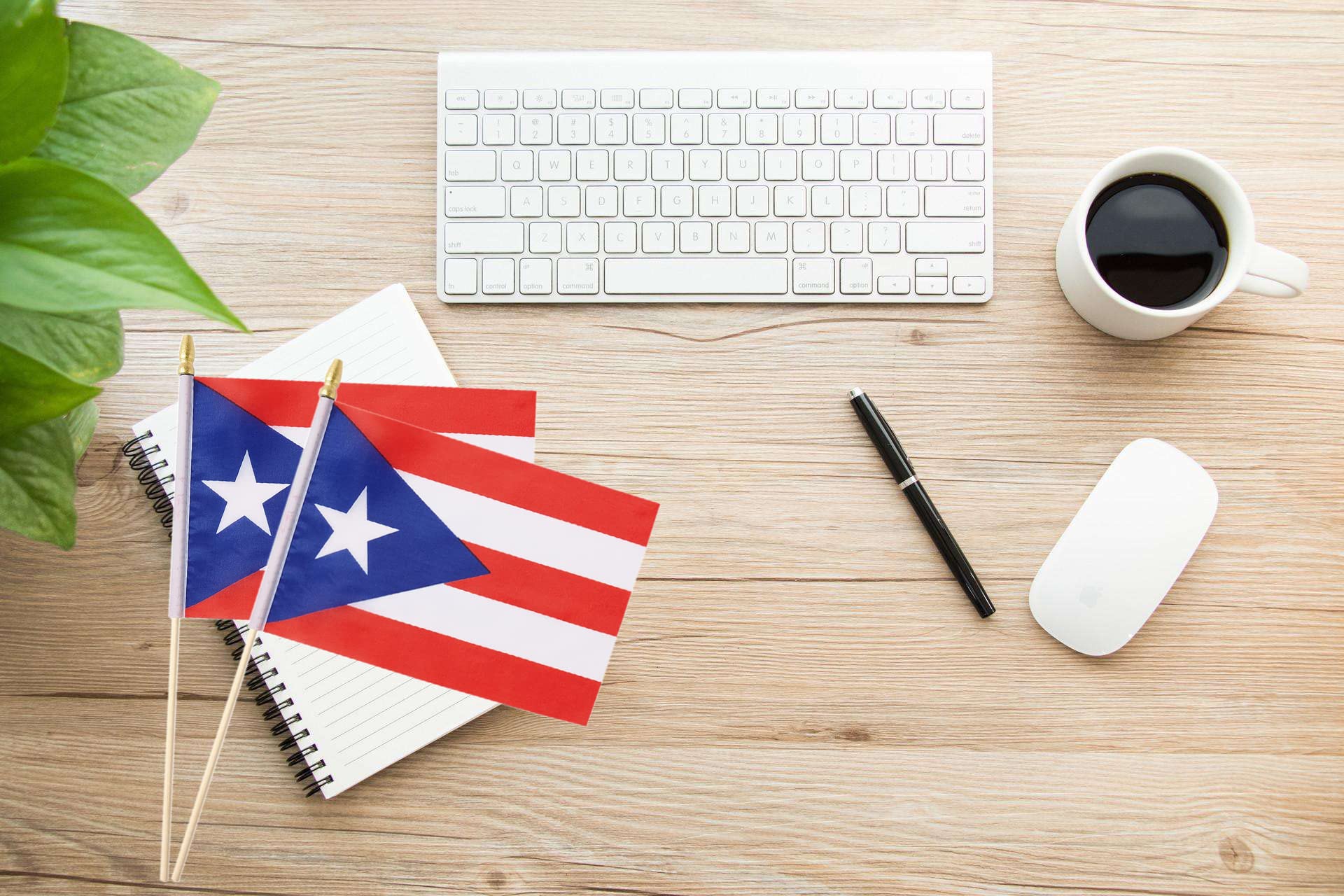 Ckexin 25Pack Small Puerto Rico Flag Handheld Mini Puerto Rican Flag On Stick 5X8 Inch