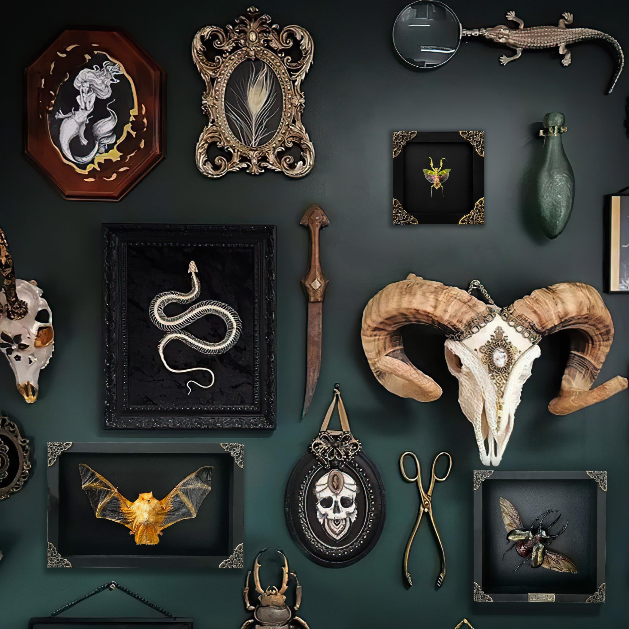 Real Framed Flower Mantis Dead Insect Dried Green Beetle Shadow Box Black Frame Taxidermy Bug Specimen Display Oddity Tabletop S