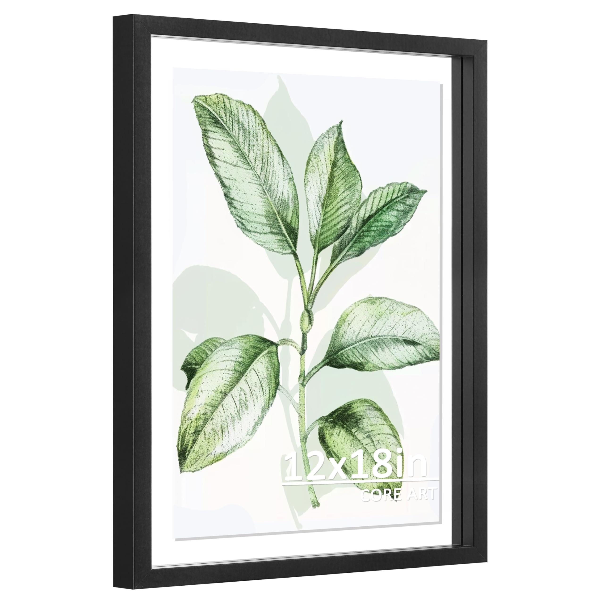 CORE ART 12x18 Floating Picture Frame,Double Plexglass Floating Frame for 11x17,9x15,8x10 Pictures,Wall or Tabletop Display,Blac