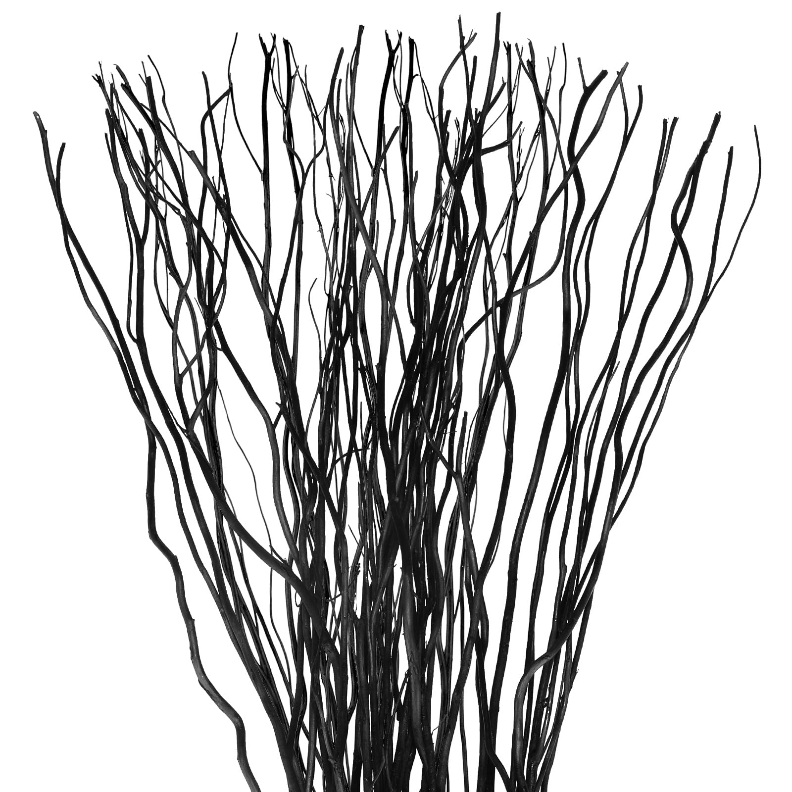 Xinnun 50 Pcs Curly Willow Branches Decorative Dried Willow Vase Filler Tree Branches for Decoration Artificial Twigs Decorative