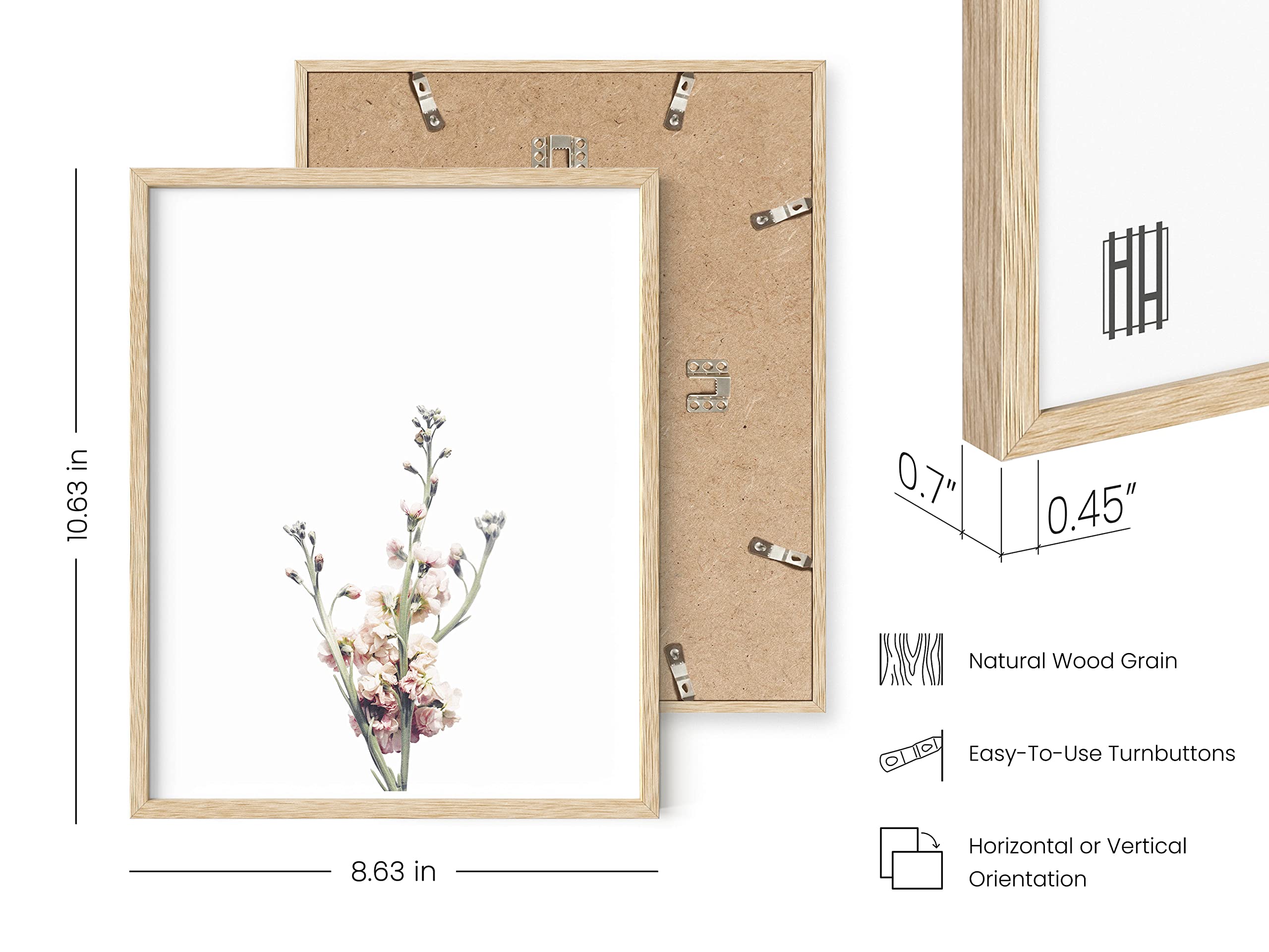 Haus And Hues Floral Prints And Plant Posters Set Of 6 Botanical Prints Set And Floral Wall Art | Wildflower Wall Art Plant Wall