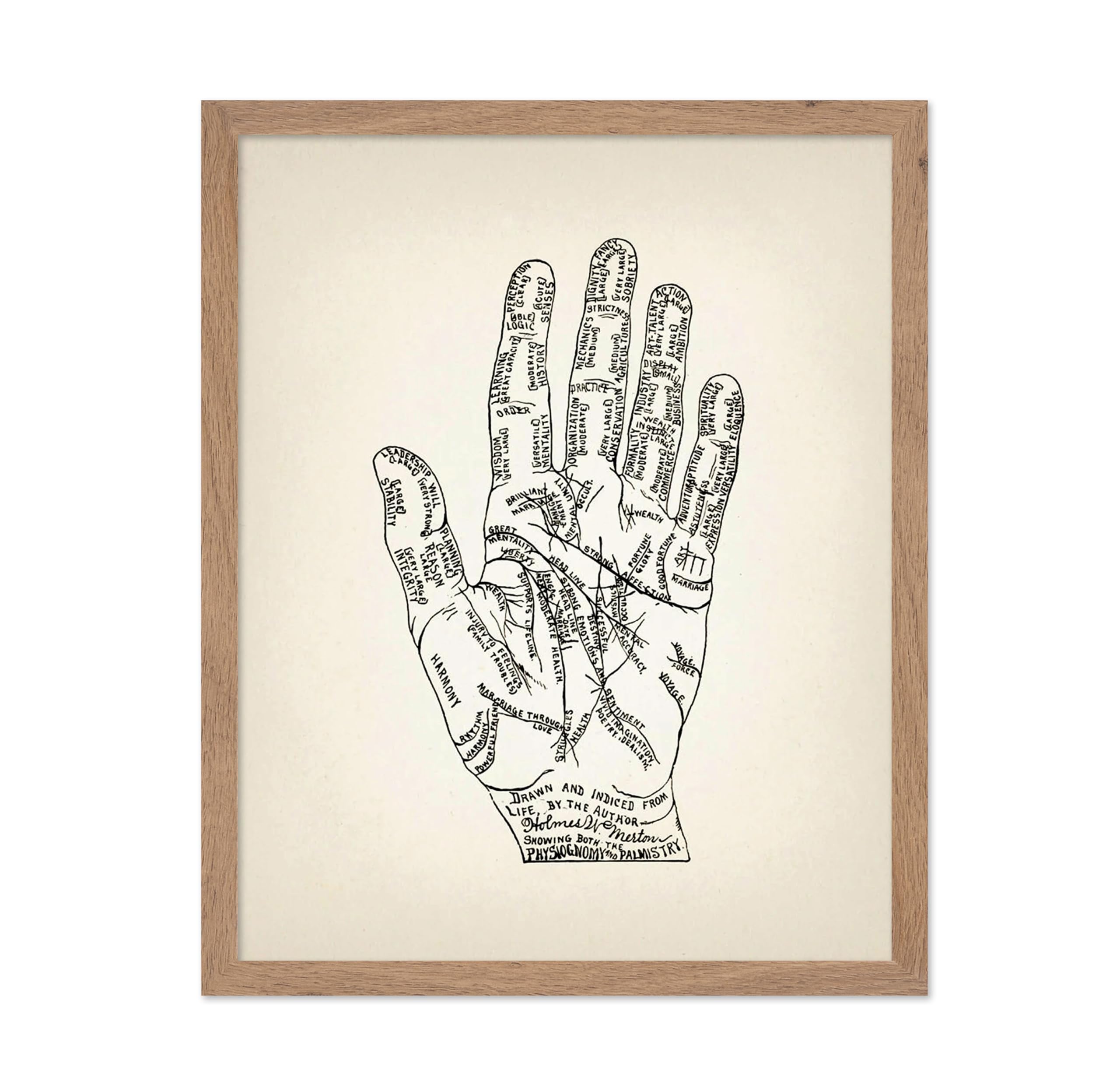 Poster Master Physiognomy and Palmistry Print 1899 - Palm Reading Guide Poster, Fine Art Print of a Vintage Scientific or Pseudo