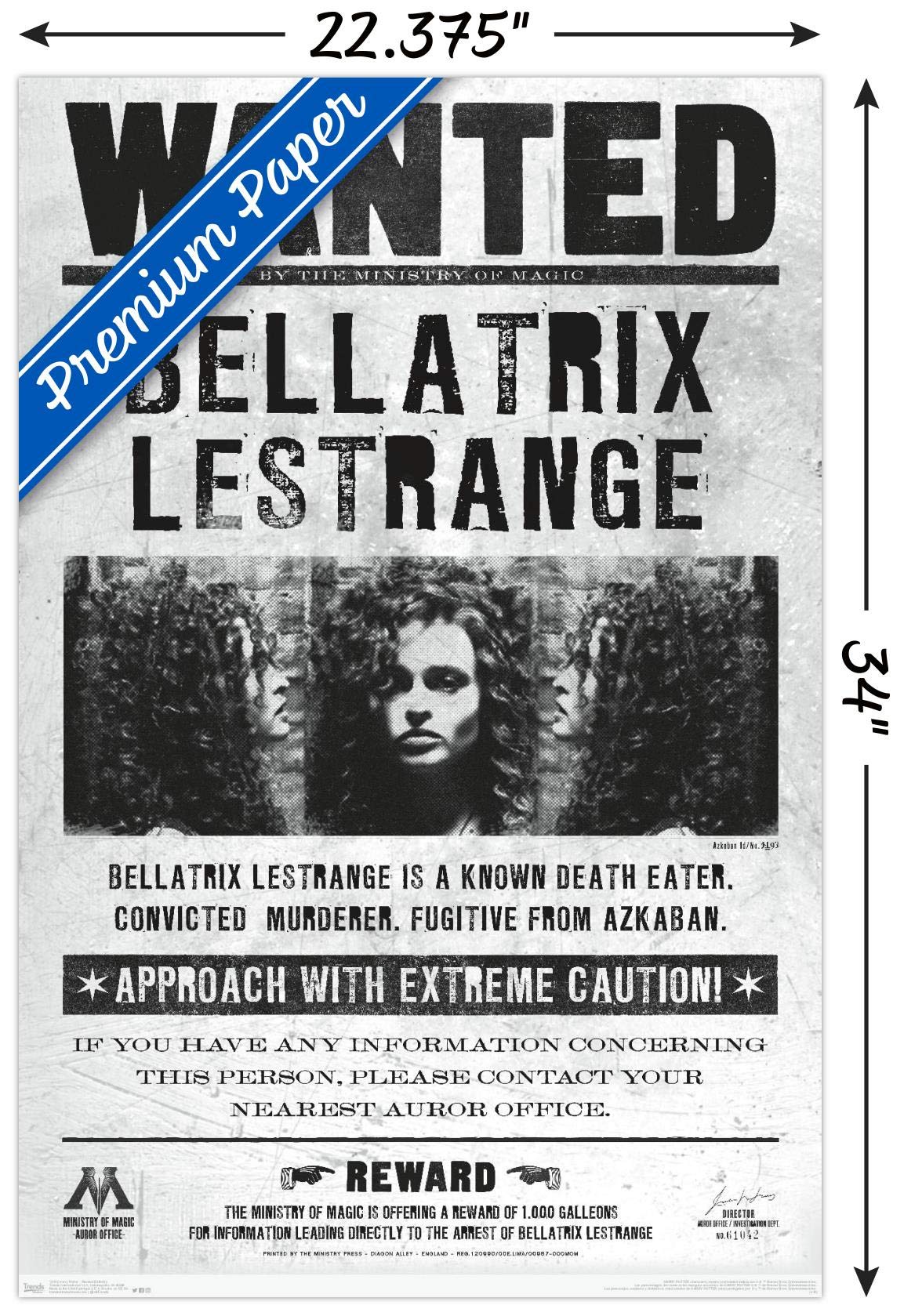 Trends International The Wizarding World: Harry Potter - Bellatrix Wanted Poster Wall Poster, 22.375'' X 34'', Premium Unframed