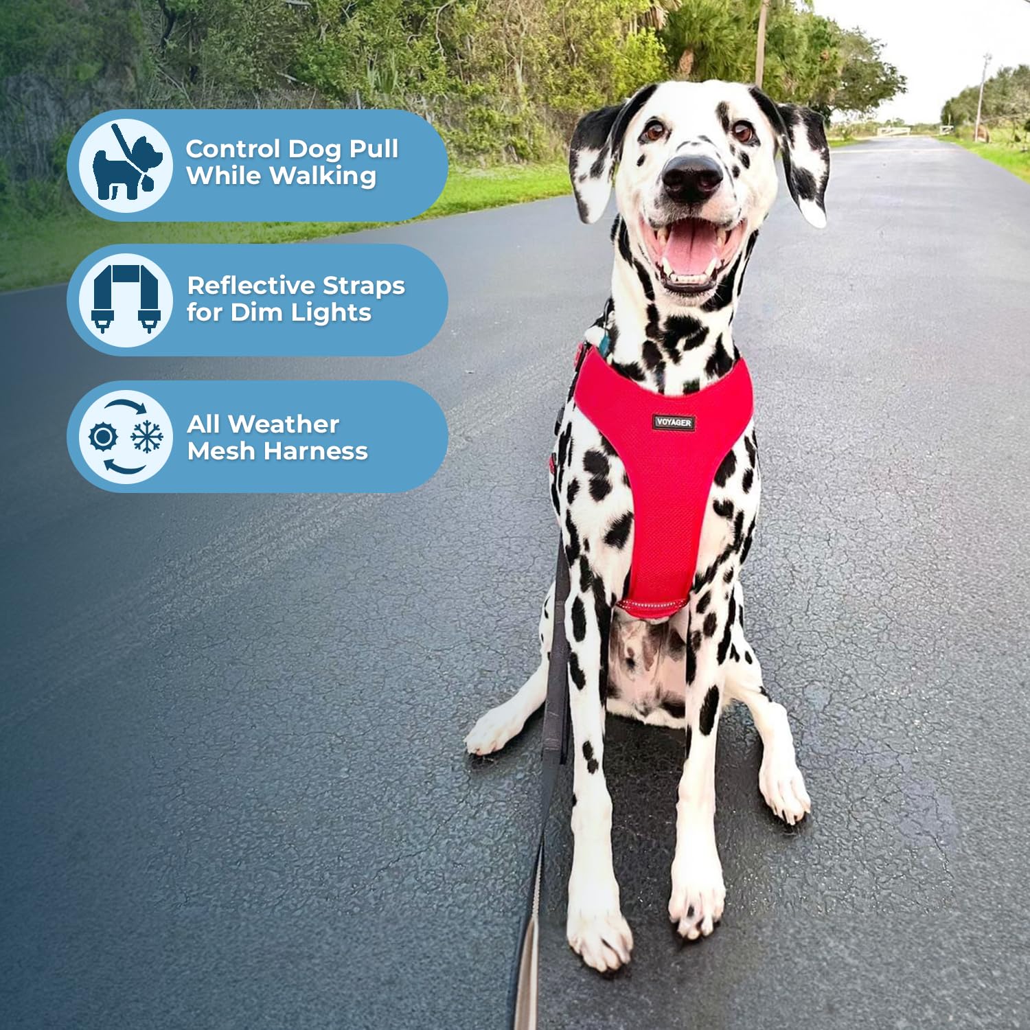 Air Frontier Mesh Dog Harness With Steel Leash D-Ring, Reflective Stitching, And Lightweight Breathable No-Pull Design, Adjustab