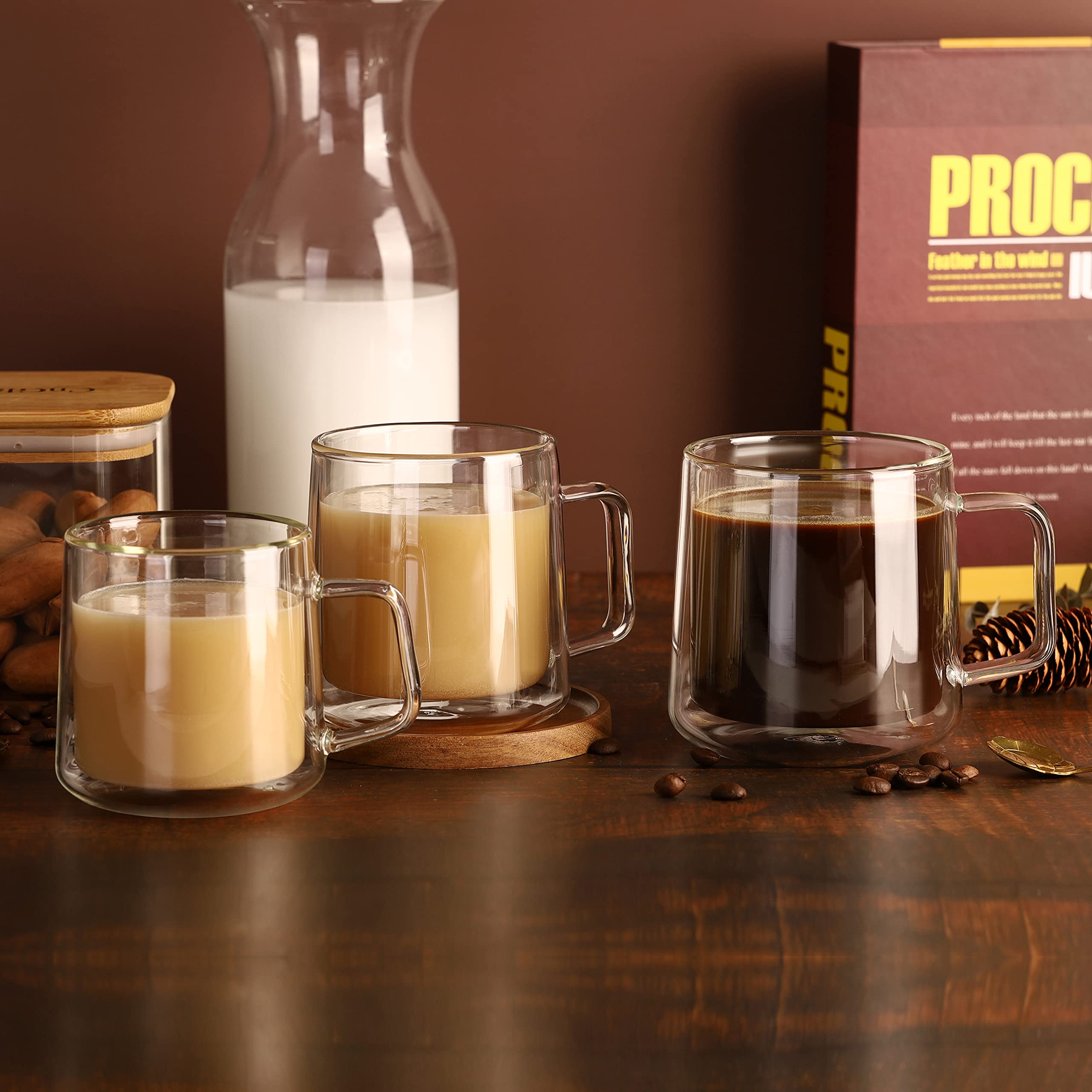 Cnglass 15.2Oz Glass Coffee Mugs,Double Wall Insulated Glass Mugs With Handle,Clear Espresso Mugs For Latte,Cappuccino,Tea Bag,S